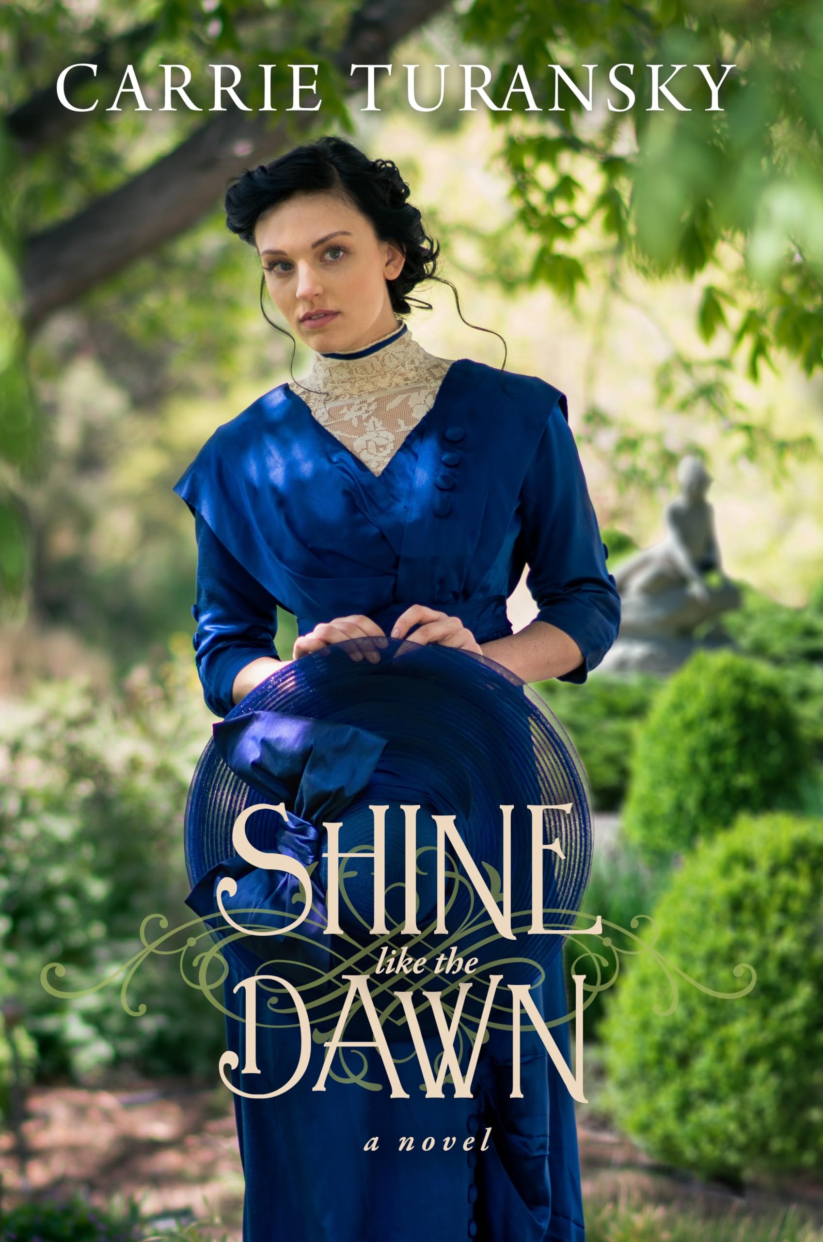 Shine Like the Dawn: A Novel book