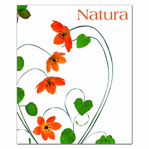 Natura Quicknotes: Greeting, Thank You & Invitation Cards Lifestyle