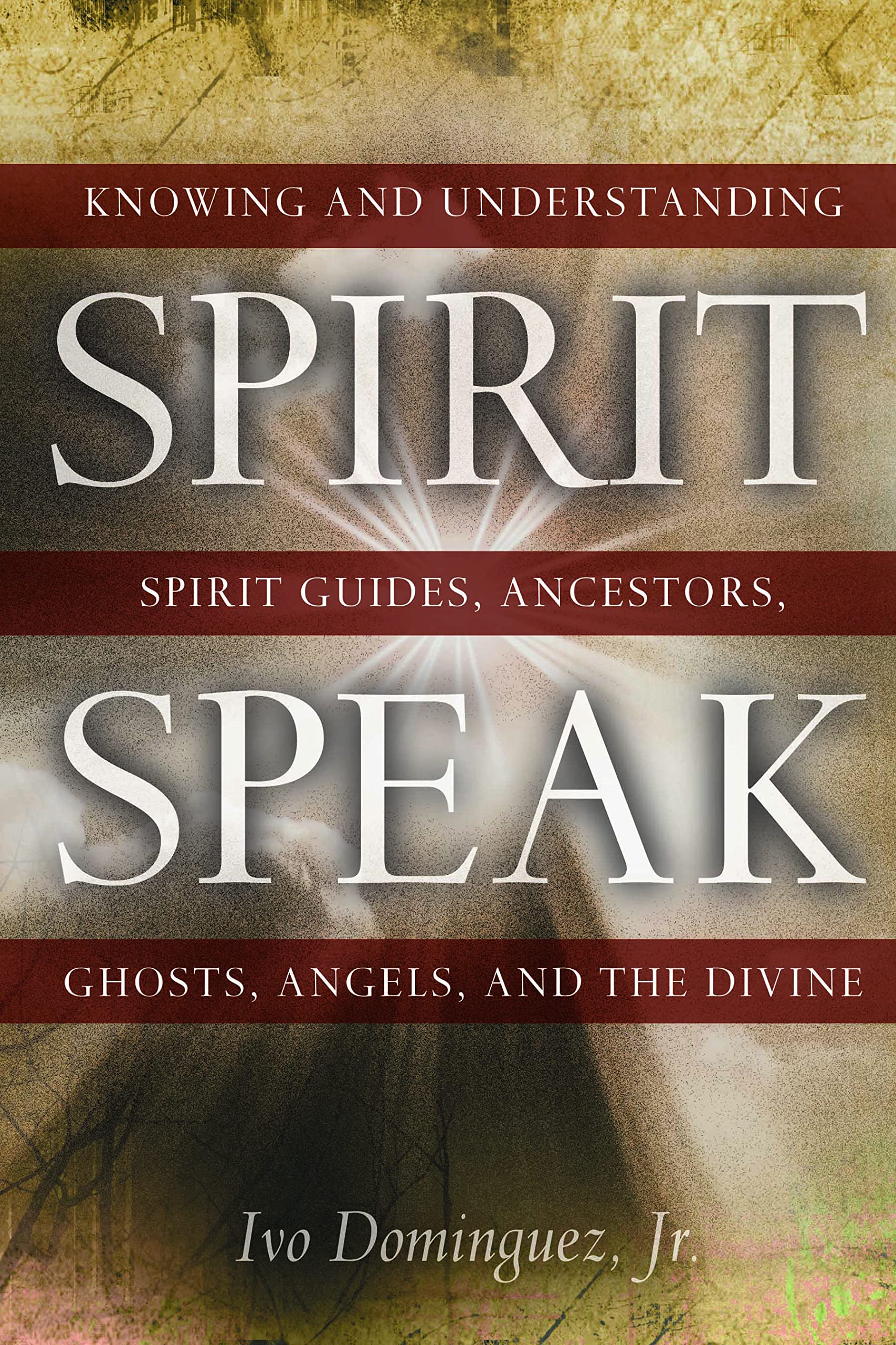 Spirit Speak: Knowing and Understanding Spirit Guides, Ancestors, Ghosts, Angels, and the Divine book