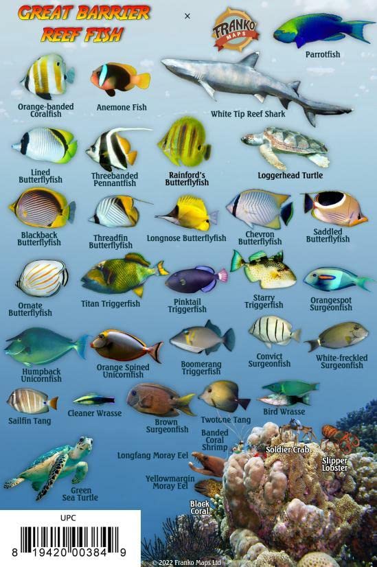 Great Barrier Reef Creatures Guide Waterproof Fish Card Franko Maps 4" x 6" Maps & Plans