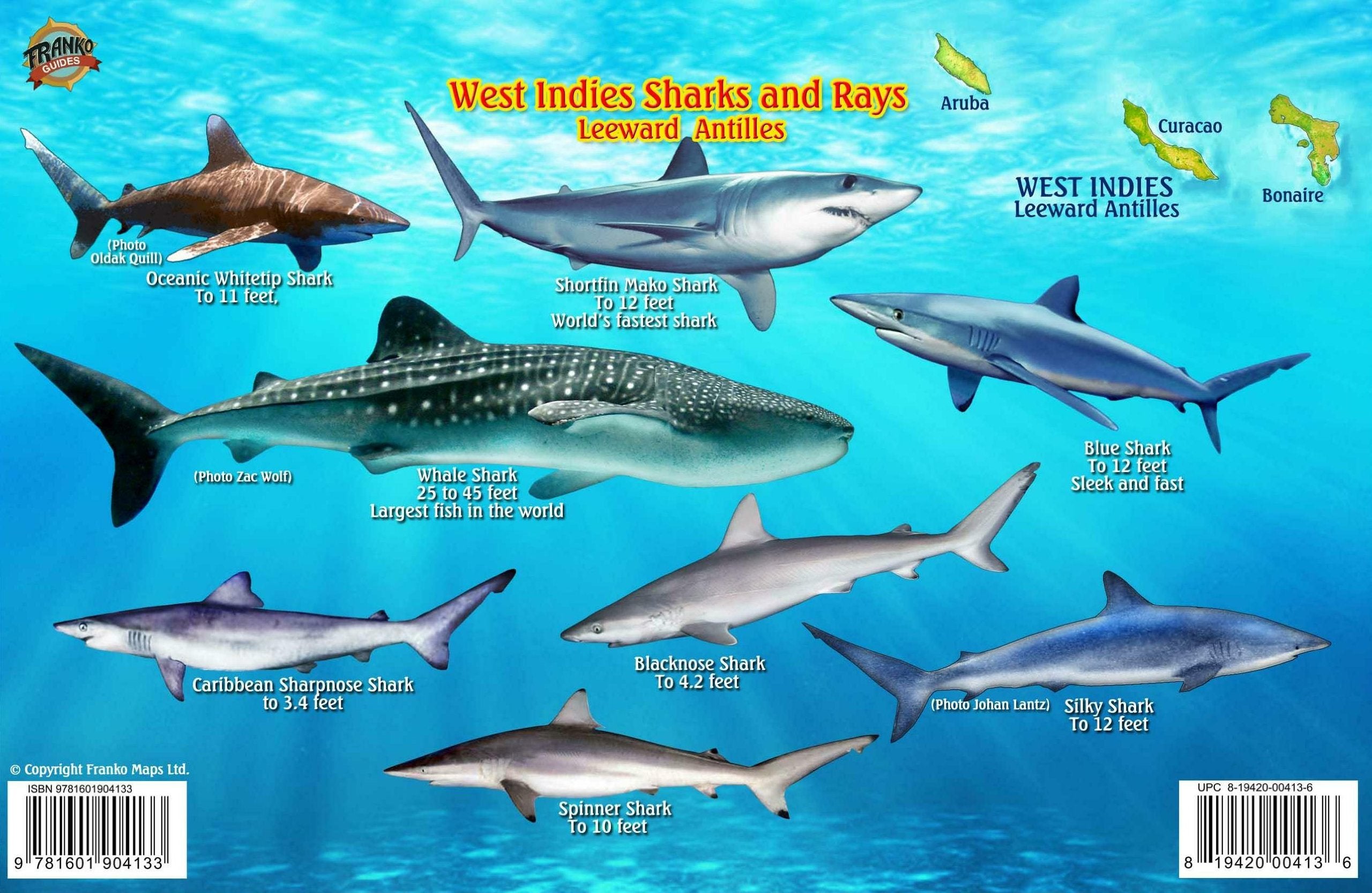 West Indies Sharks & Rays Guide Franko Maps Laminated Fish Card Maps & Plans