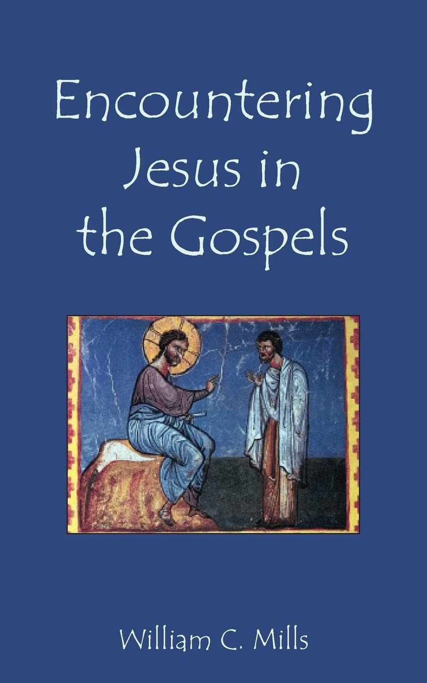 Product Image: Encountering Jesus in the Gospels