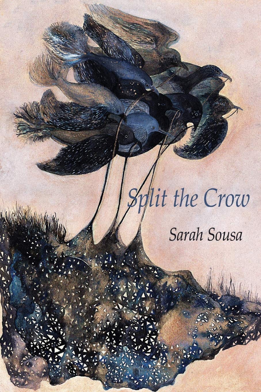Split the Crow book