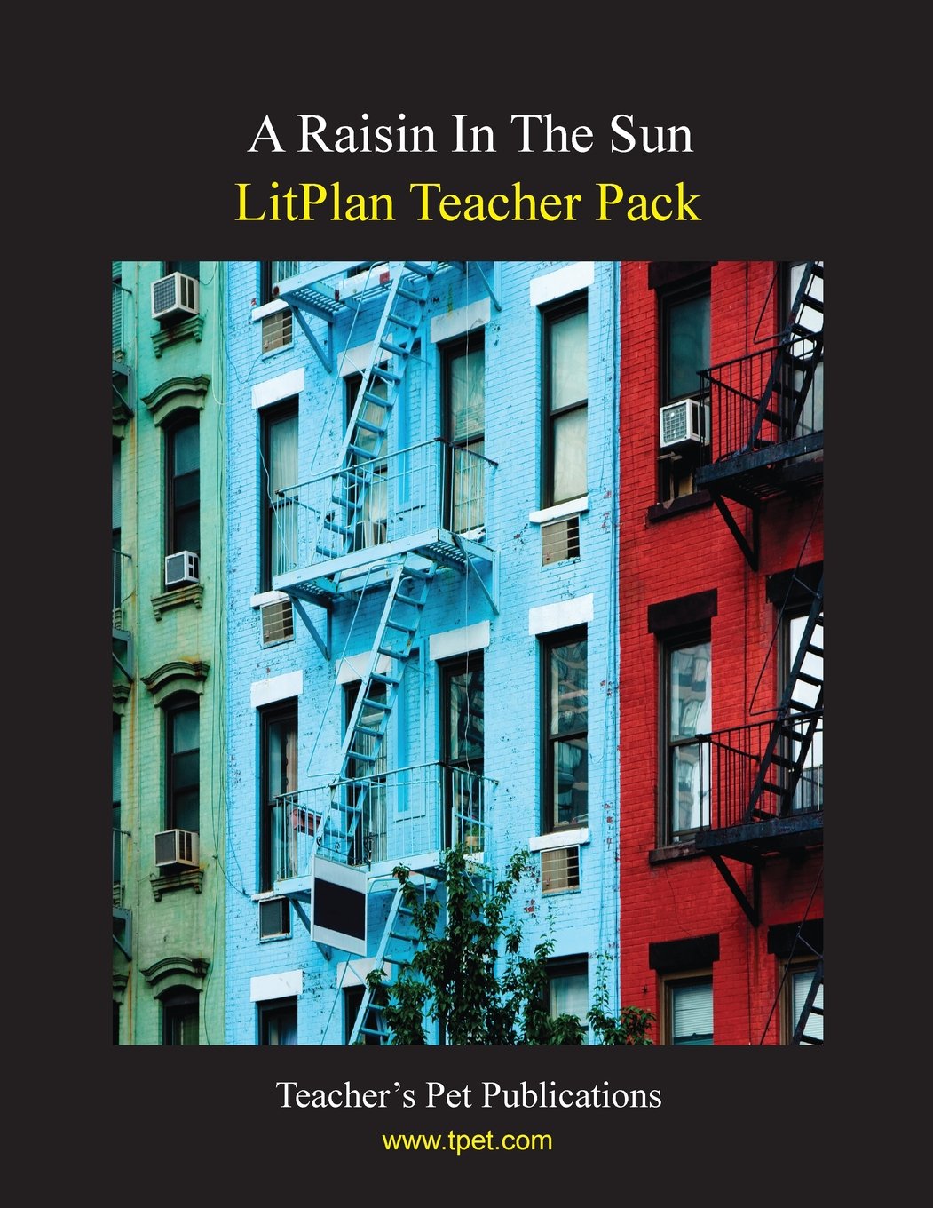 A Raisin in the Sun Litplan Teacher Pack: Teachers Manual Education & Training