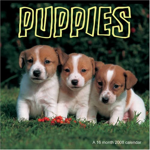Puppies. Calendario 2008 book