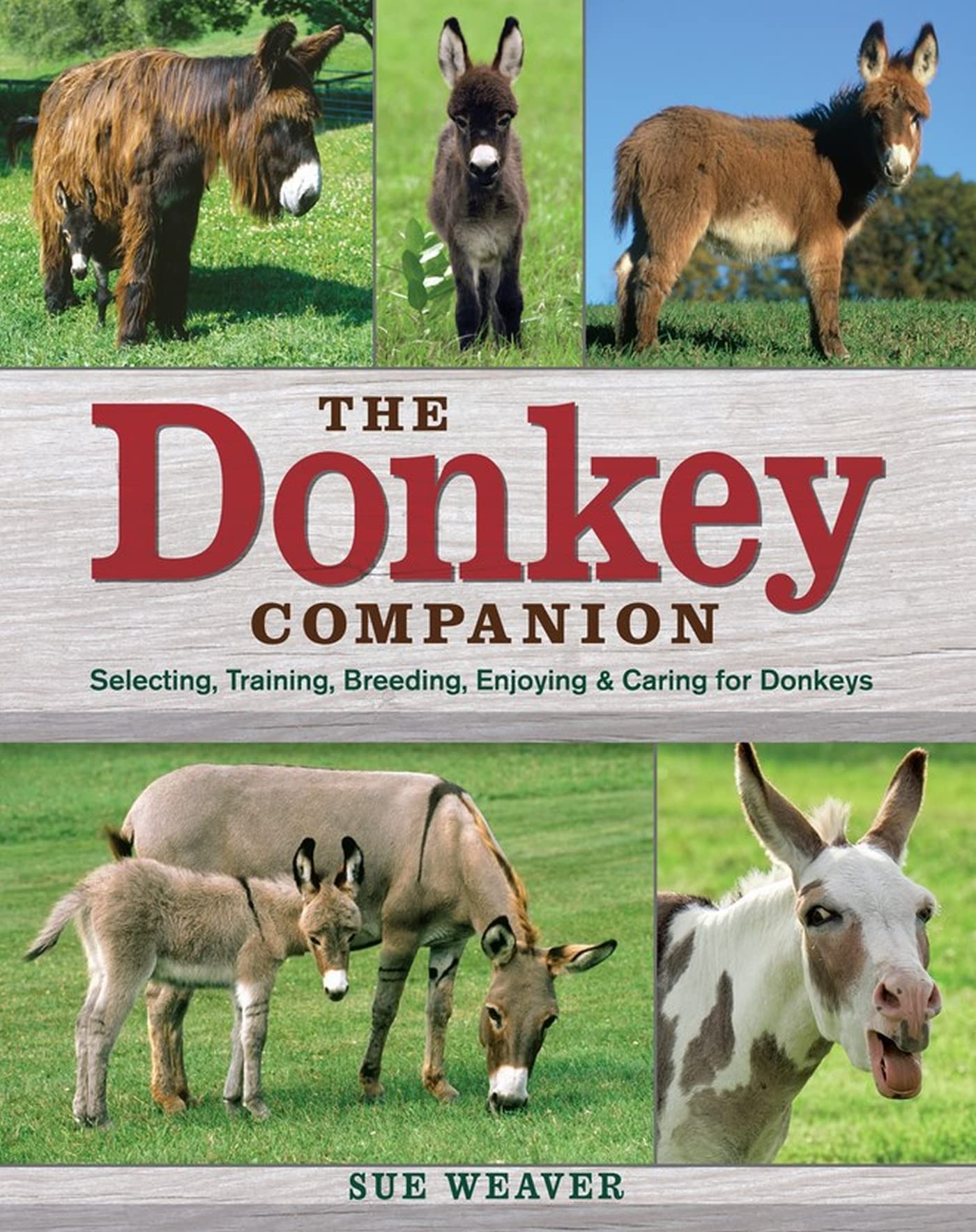 The Donkey Companion: Selecting, Training, Breeding, Enjoying & Caring for Donkeys Mathematics