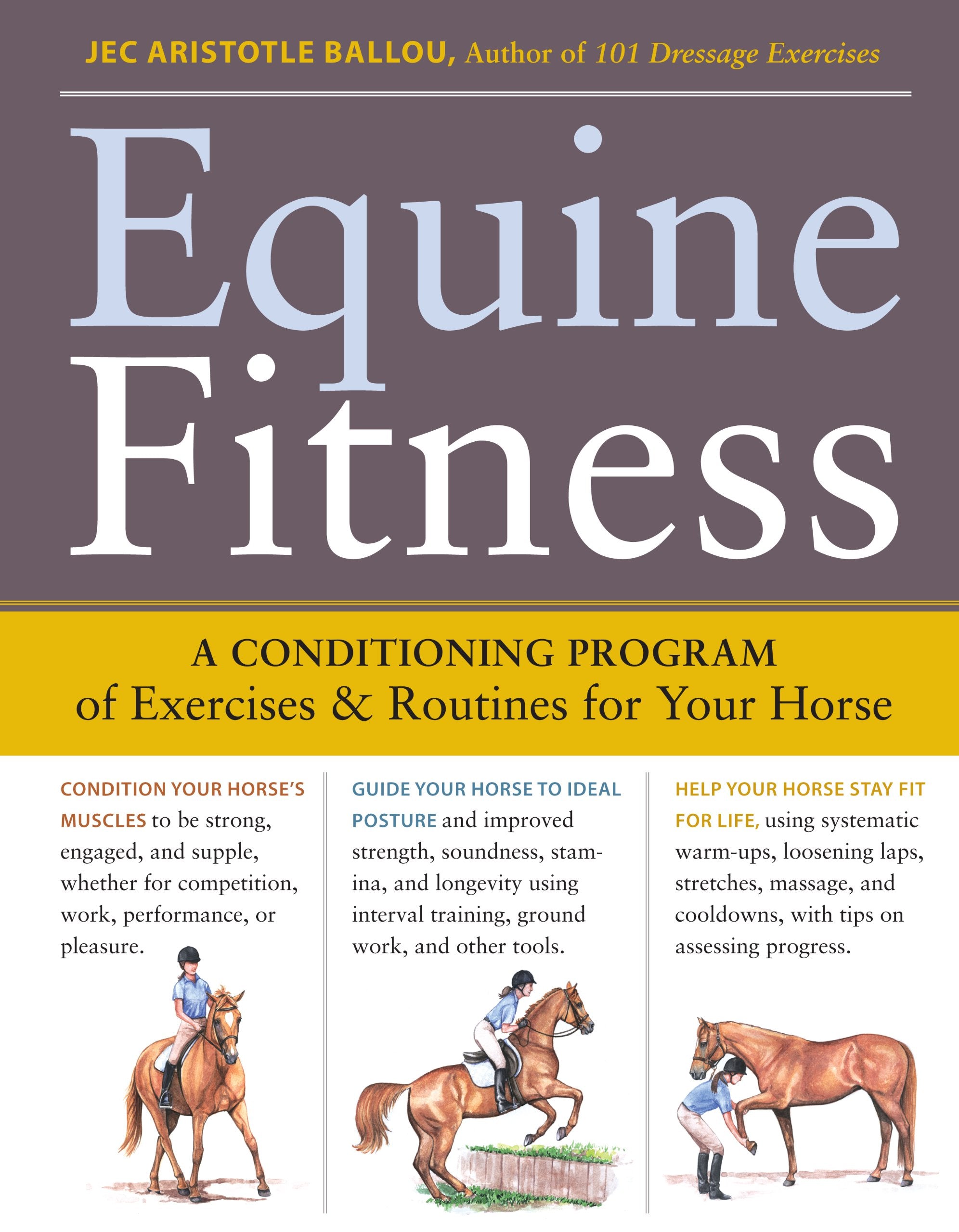 Equine Fitness Medicine