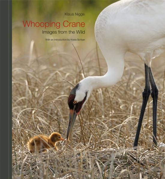 Whooping Crane: Images from the Wild Mathematics