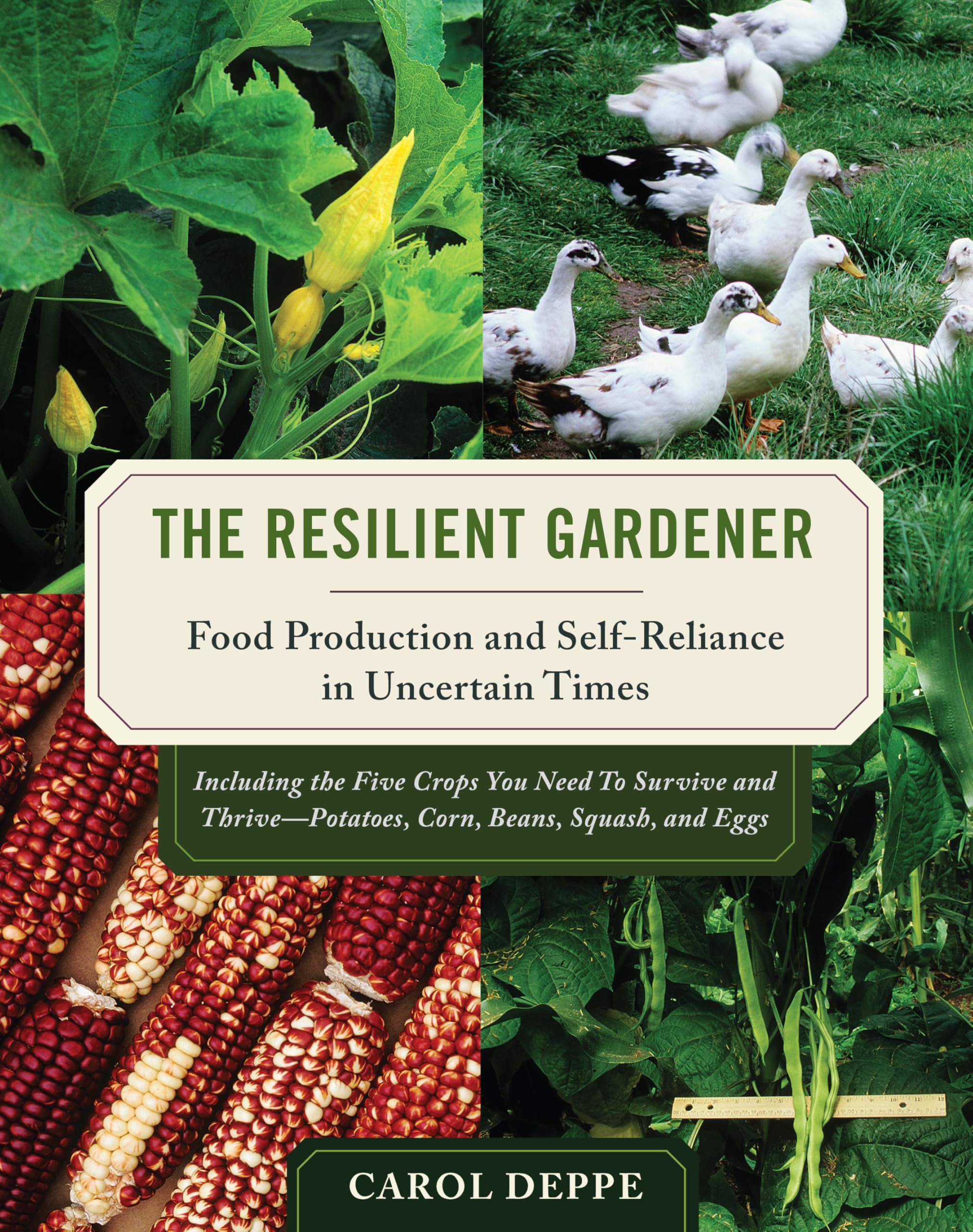 Product Image: The Resilient Gardener
