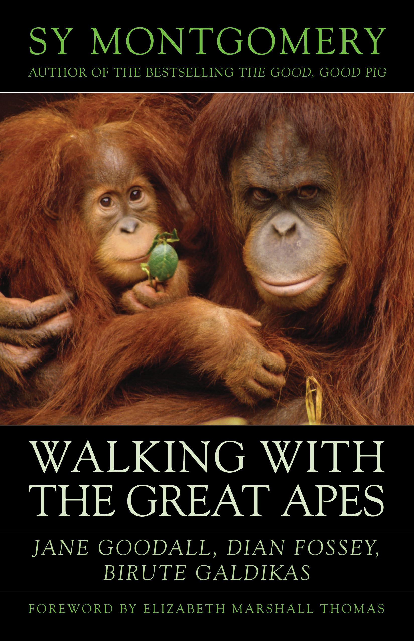 Walking with the Great Apes: Jane Goodall, Dian Fossey, Biruté Galdikas Books