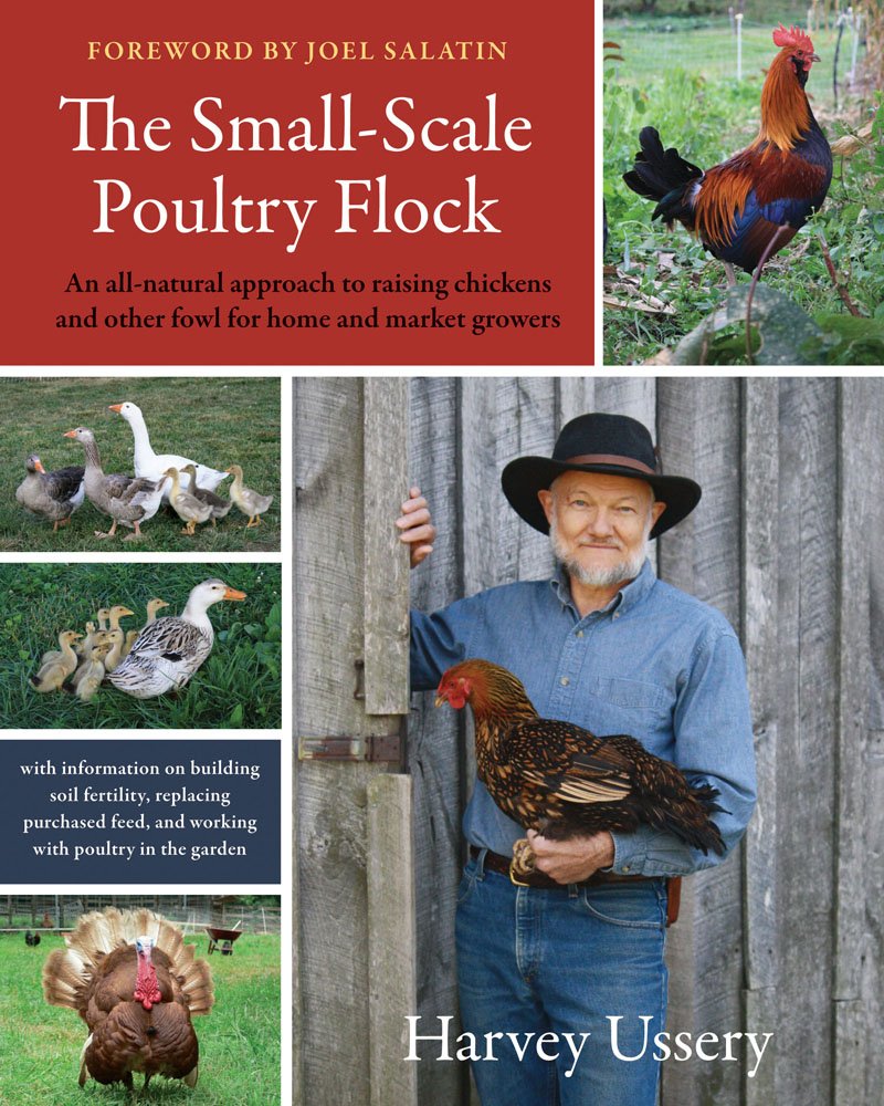 The Small-Scale Poultry Flock: An All-Natural Approach to Raising Chickens and Other Fowl for Home and Market Growers Home & Household