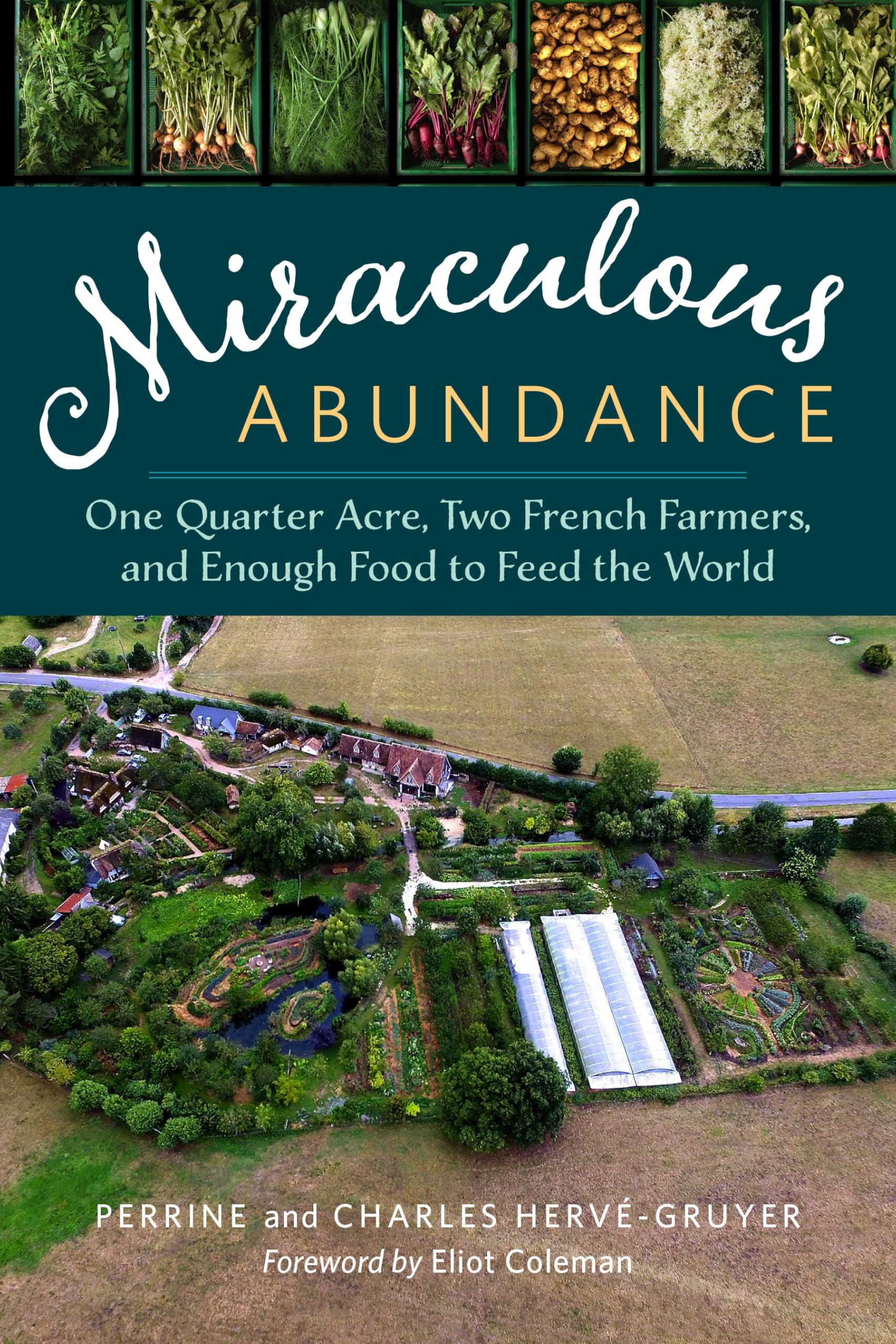 Miraculous Abundance Books