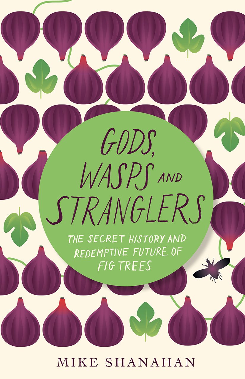 Gods, Wasps and Stranglers: The Secret History and Redemptive Future of Fig Trees Mathematics