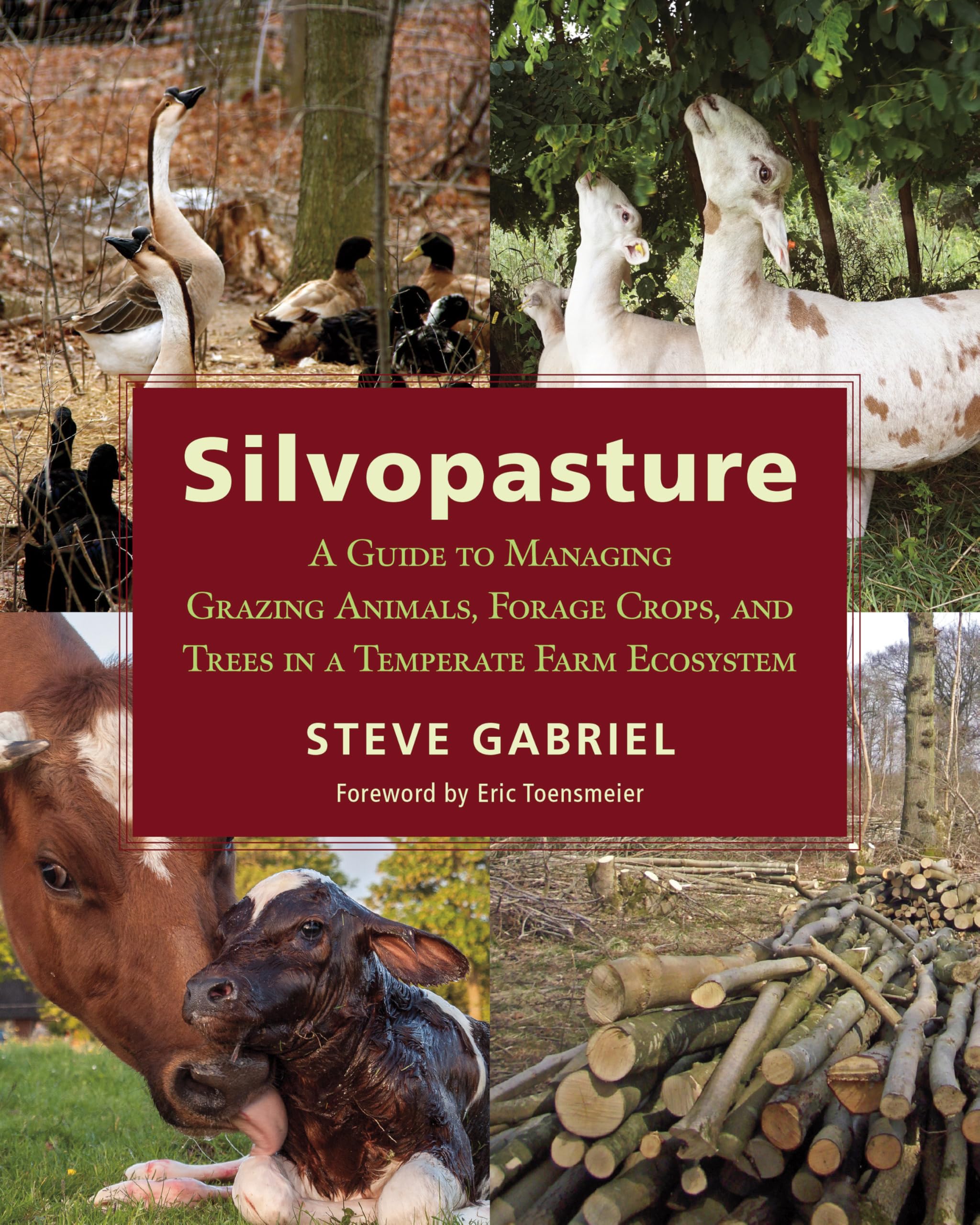 Silvopasture: A Guide to Managing Grazing Animals, Forage Crops, and Trees in a Temperate Farm Ecosystem Mathematics