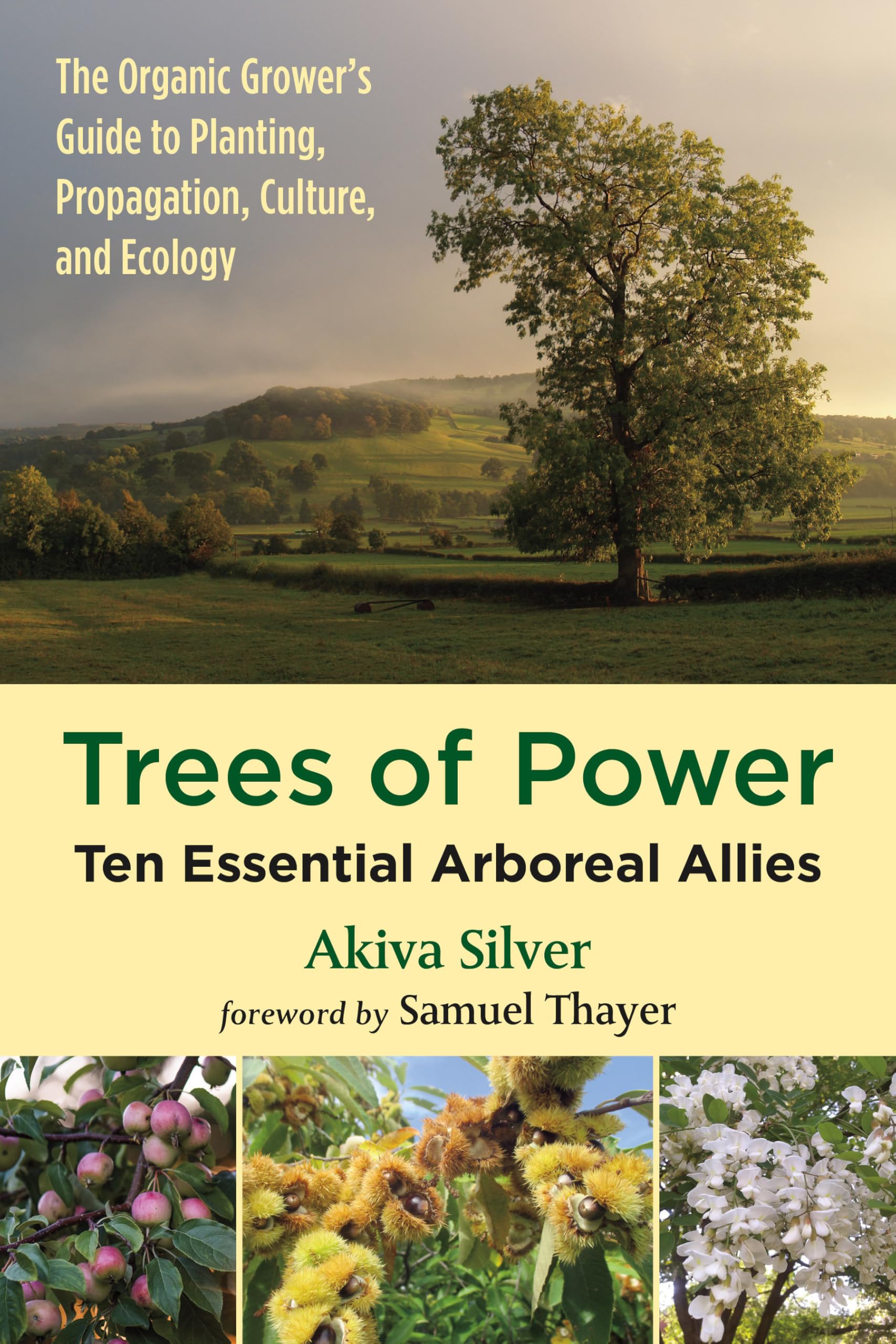 Trees of Power: Ten Essential Arboreal Allies Mathematics