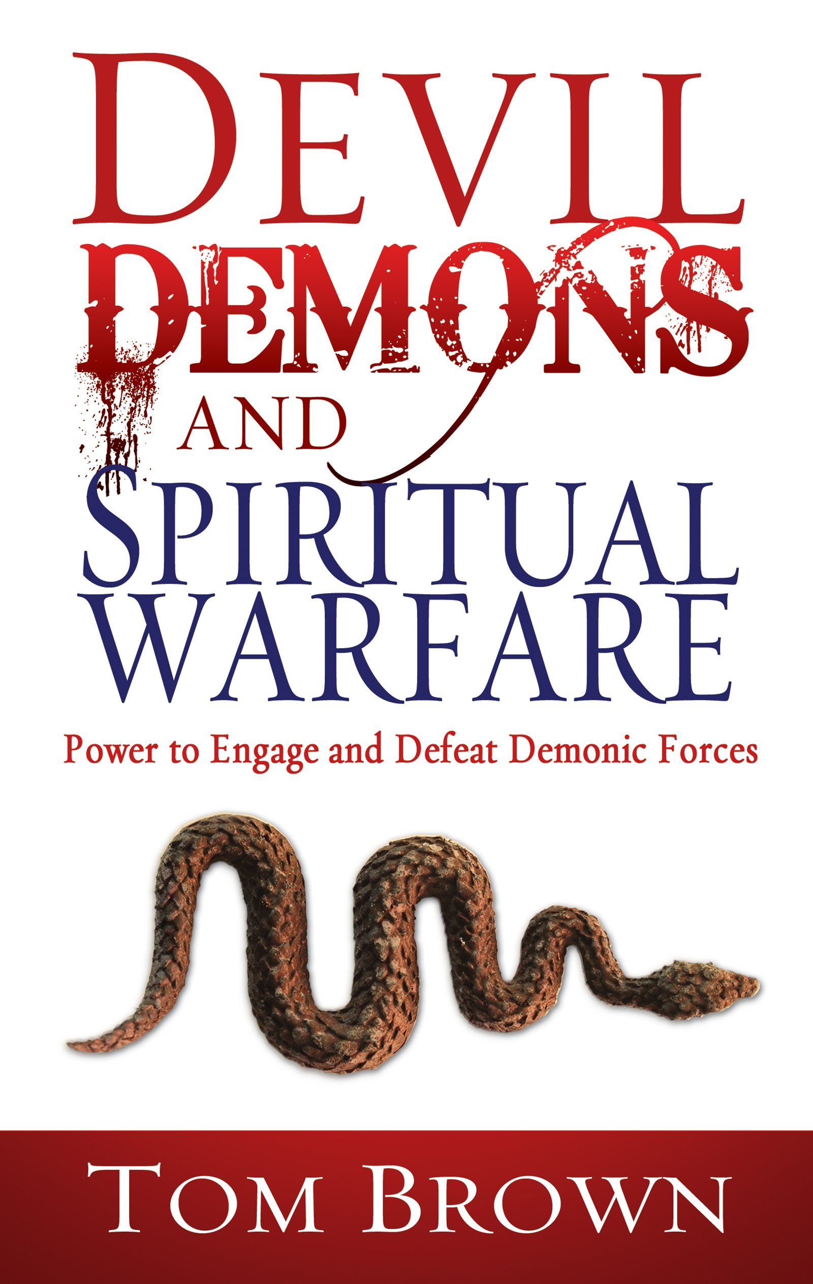 Devil, Demons, and Spiritual Warfare: The Power to Engage and Defeat Demonic Forces Social Sciences