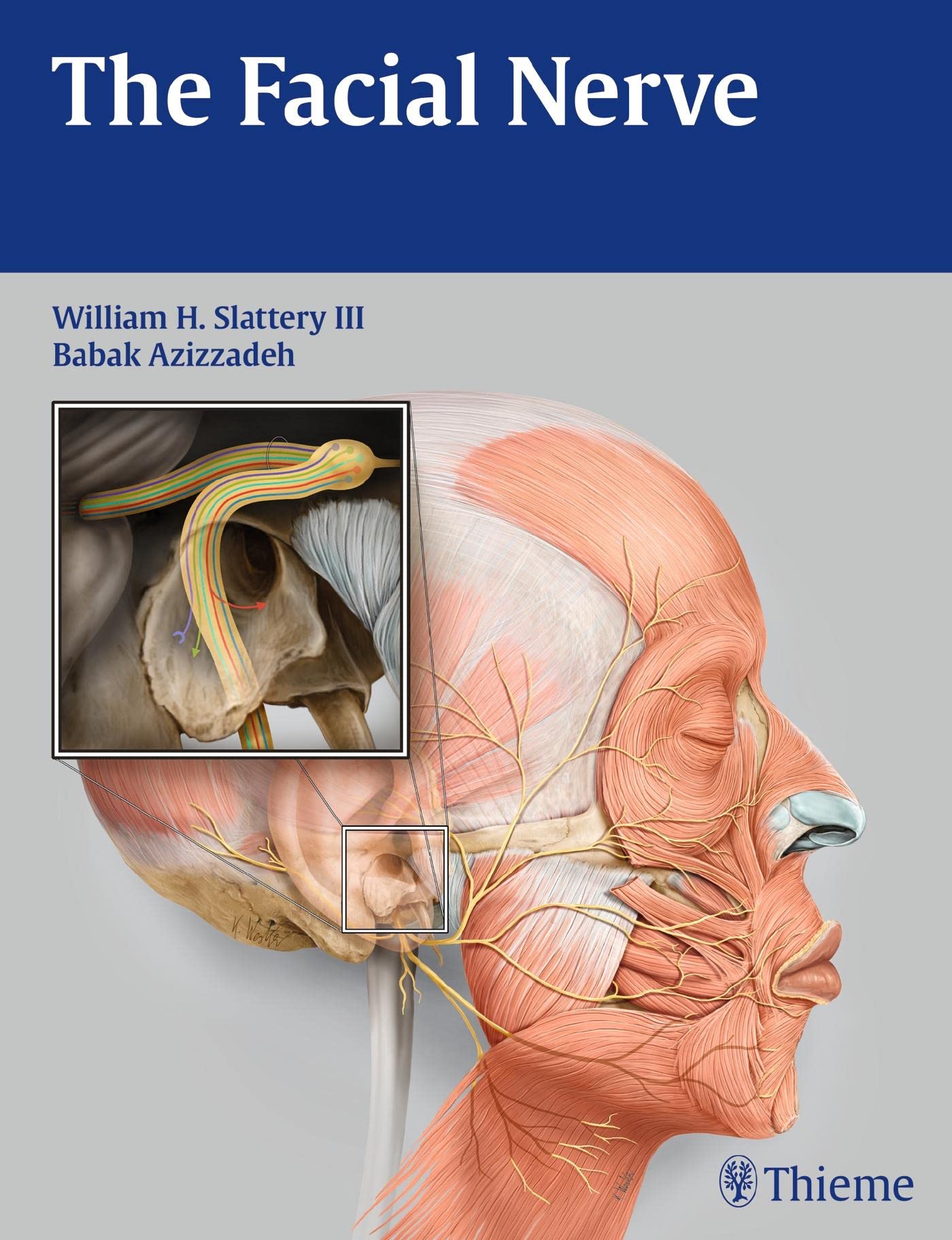 The Facial Nerve Medicine