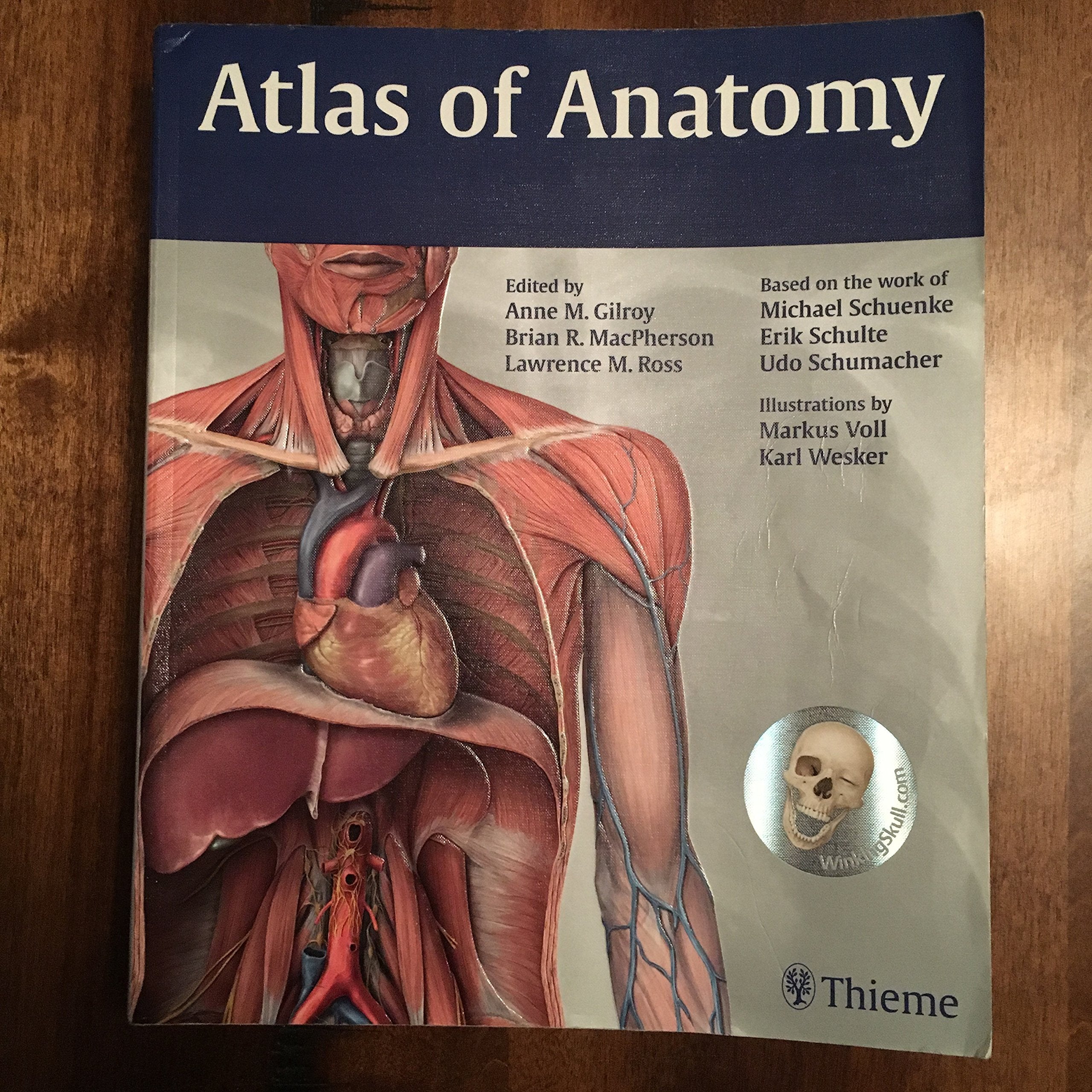 Atlas of Anatomy (Thieme Anatomy) Medicine