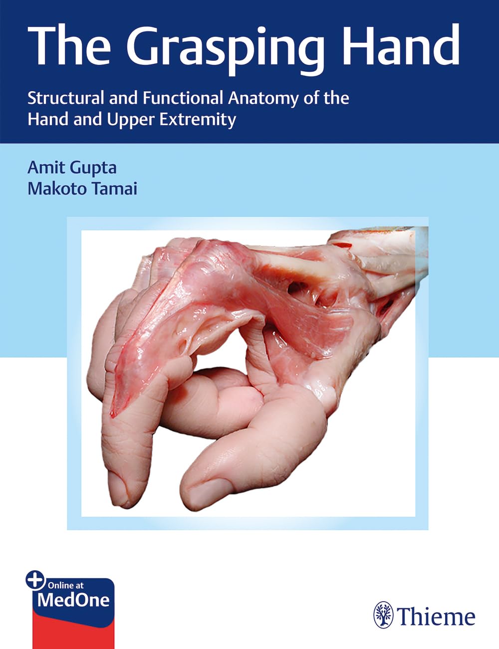 The Grasping Hand: Structural and Functional Anatomy of the Hand and Upper Extremity Medicine