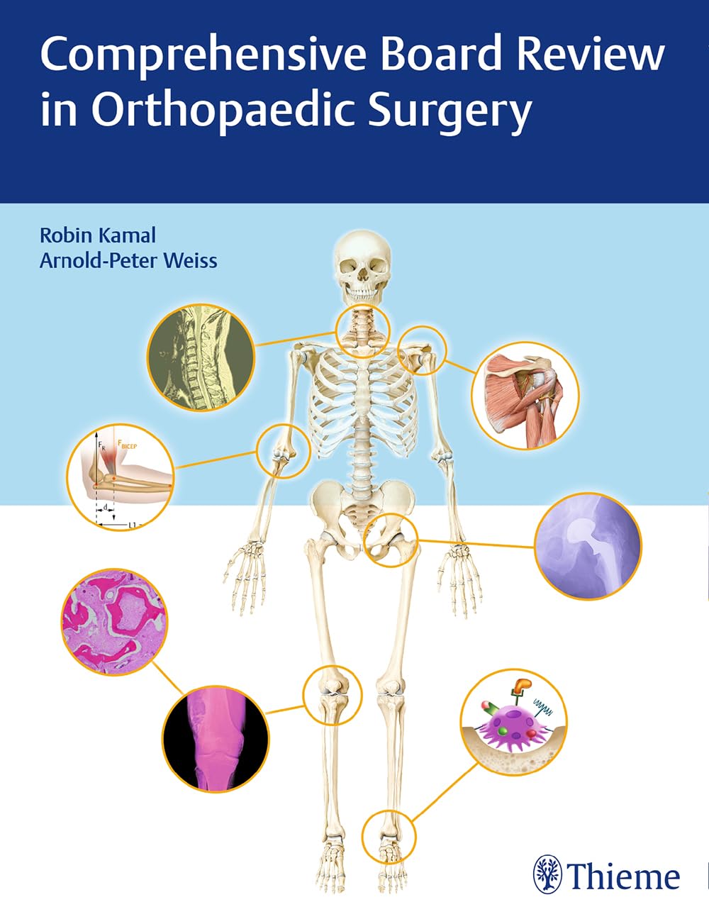 Comprehensive Board Review in Orthopaedic Surgery book