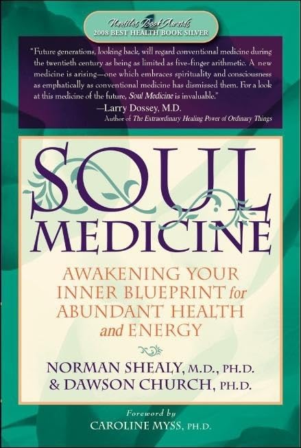 Soul Medicine: Awakening Your Inner Blueprint for Abundant Health and Energy Business, Finance & Career