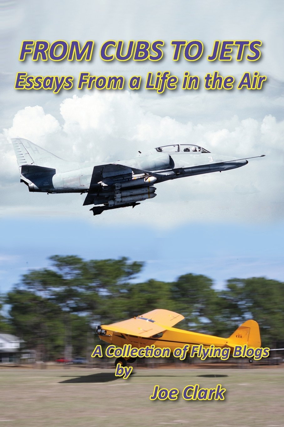 From Cubs to Jets - Essays from a Life in the Air. Business & Technology