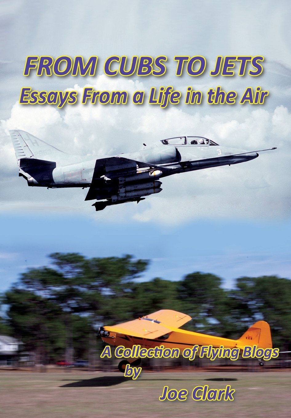 From Cubs to Jets - Essays from a Life in the Air. Business & Technology