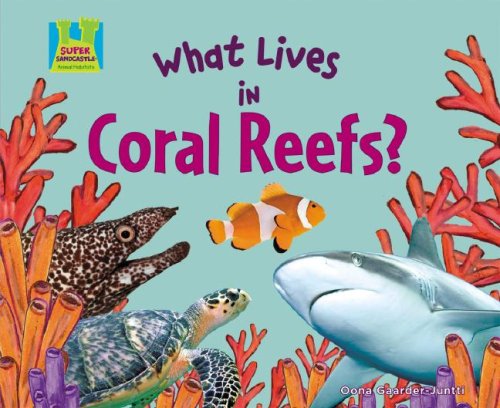 What Lives in Coral Reefs? (Animal Habitats) Study Guides