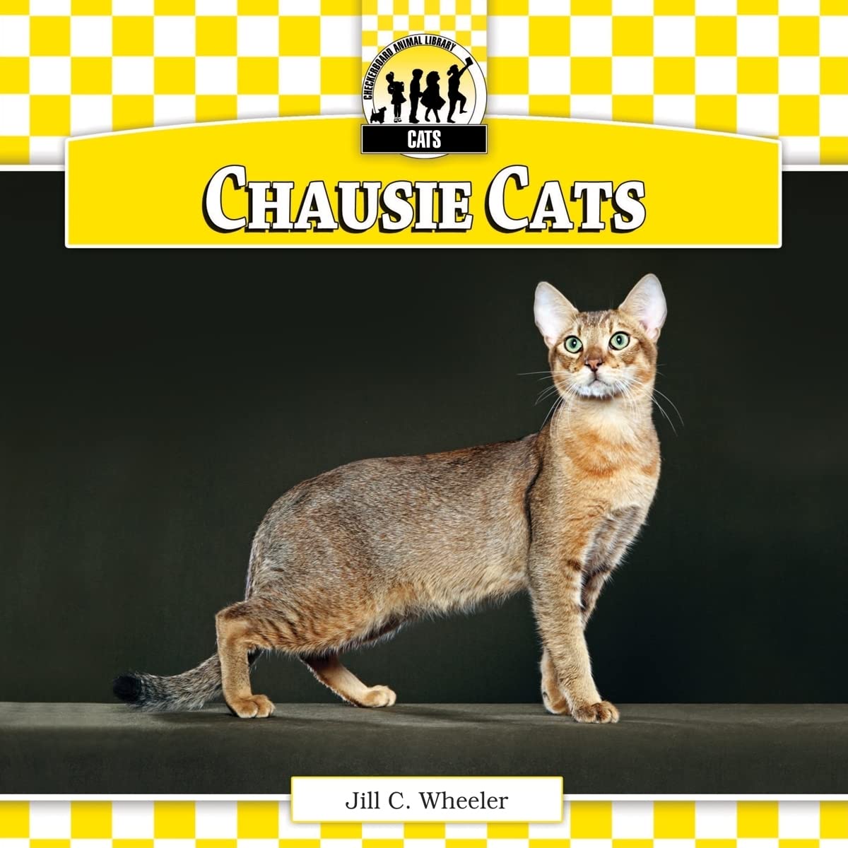 Chausie Cats (Cats Set 5: Designer Cats) Pets