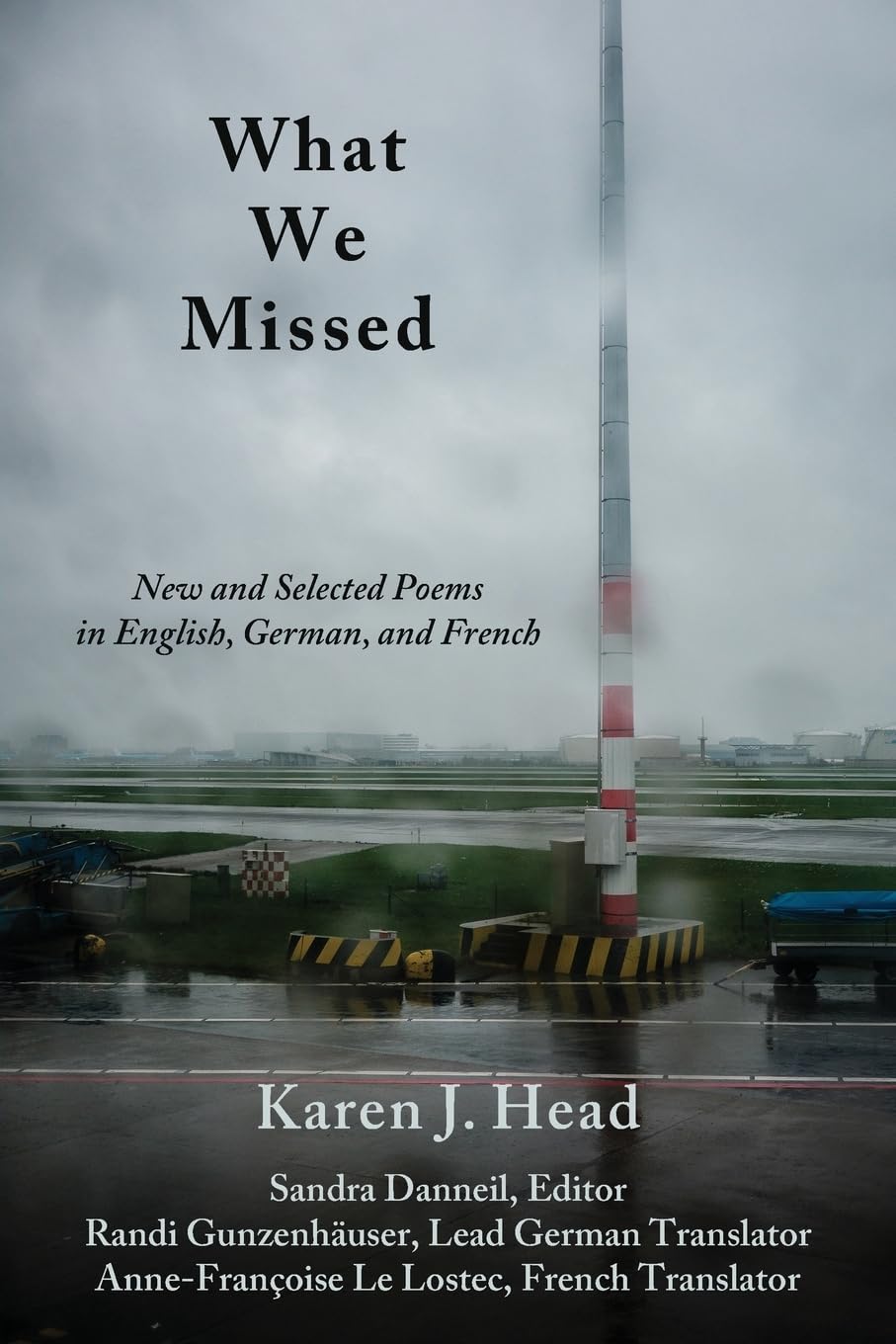 What We Missed: New and Selected Poems in English, German, and French Poetry