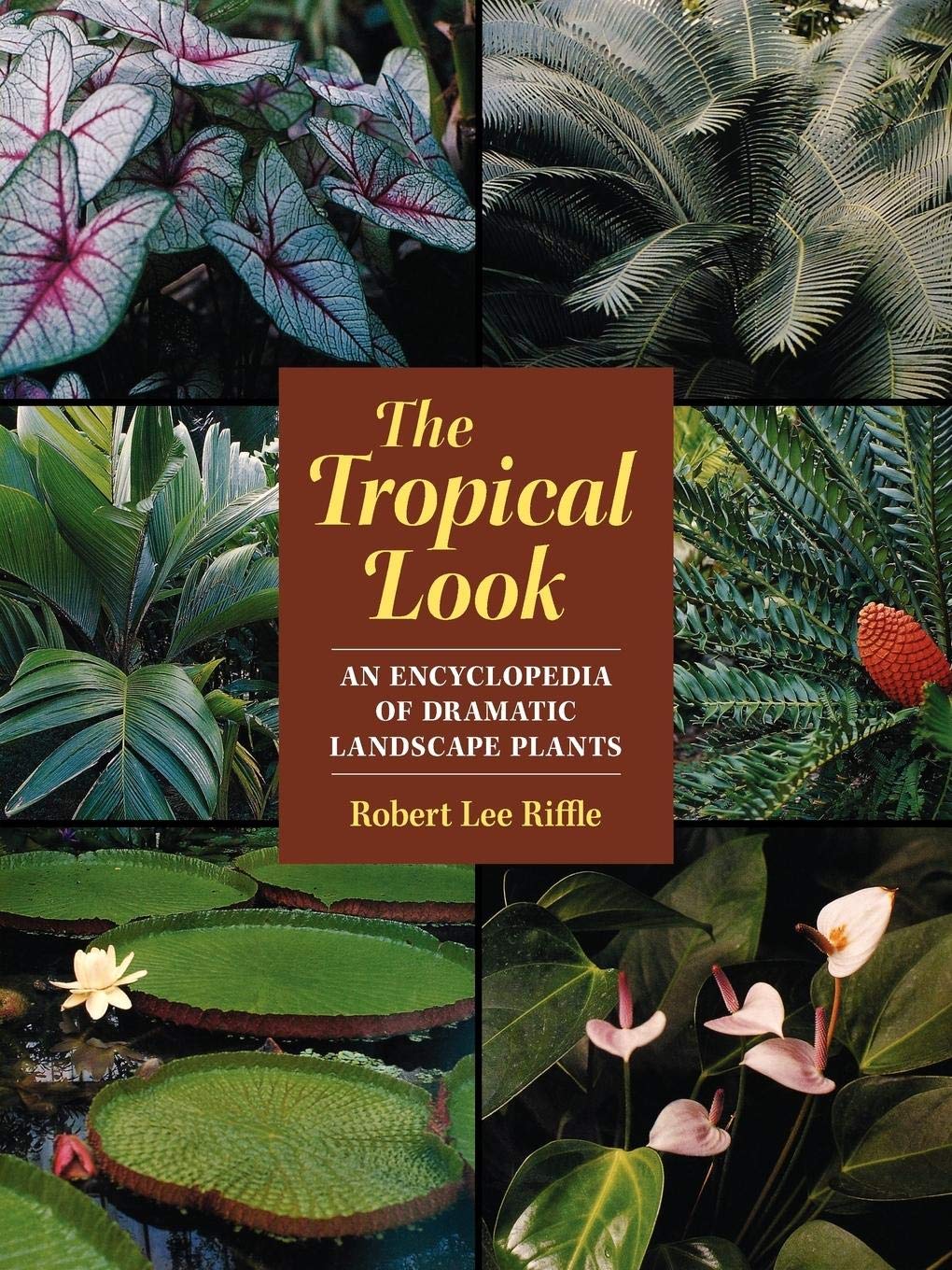 The Tropical Look: An Encyclopedia of Dramatic Landscape Plants Film, Art & Culture