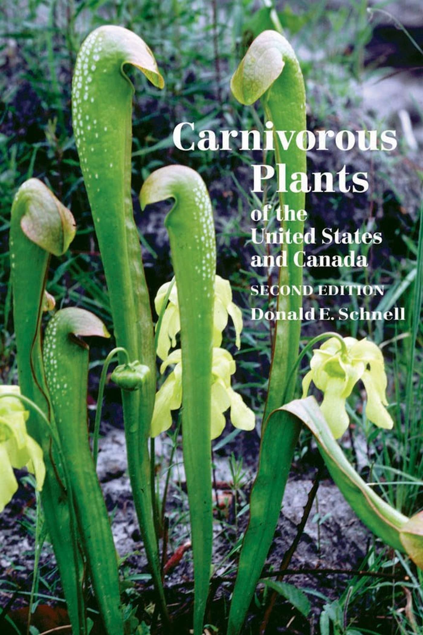 Carnivorous Plants of the United States and Canada Garden & Plants
