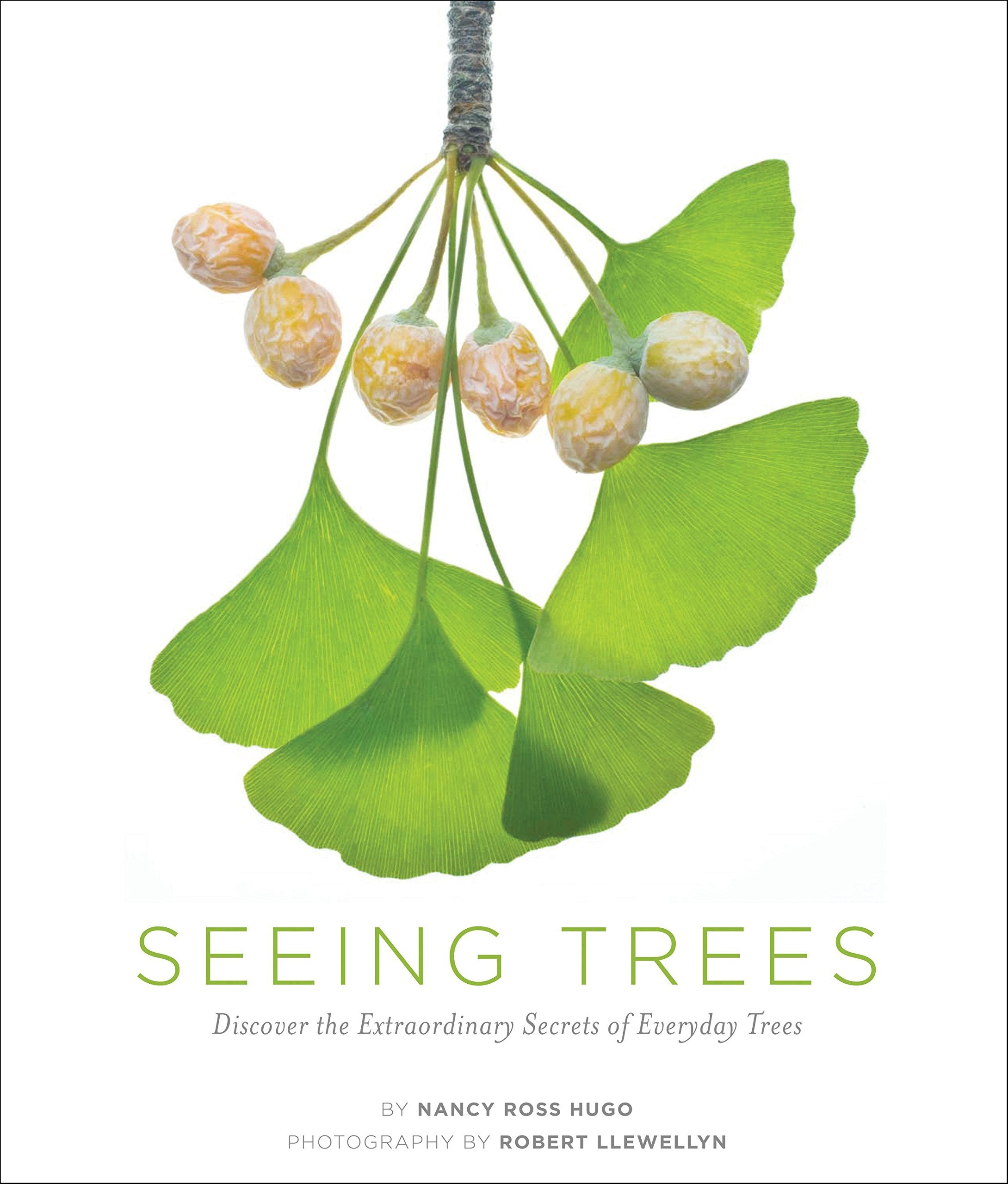 Seeing Trees: Discover the Secret Lives of Everyday Trees: Discover the Extraordinary Secrets of Everyday Trees Mathematics
