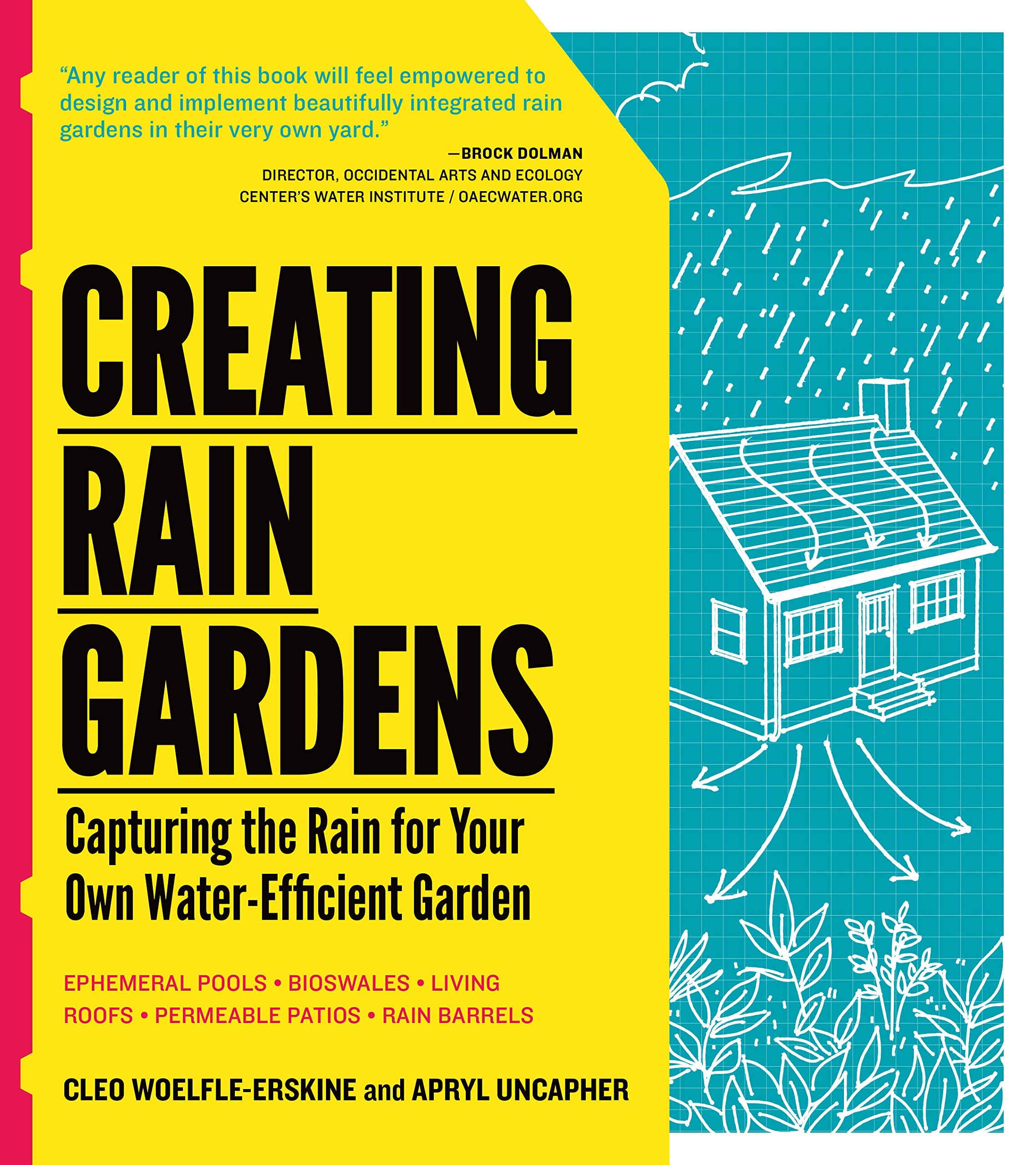 Creating Rain Gardens: Capturing the Rain for Your Own Water-Efficient Garden Garden & Plants