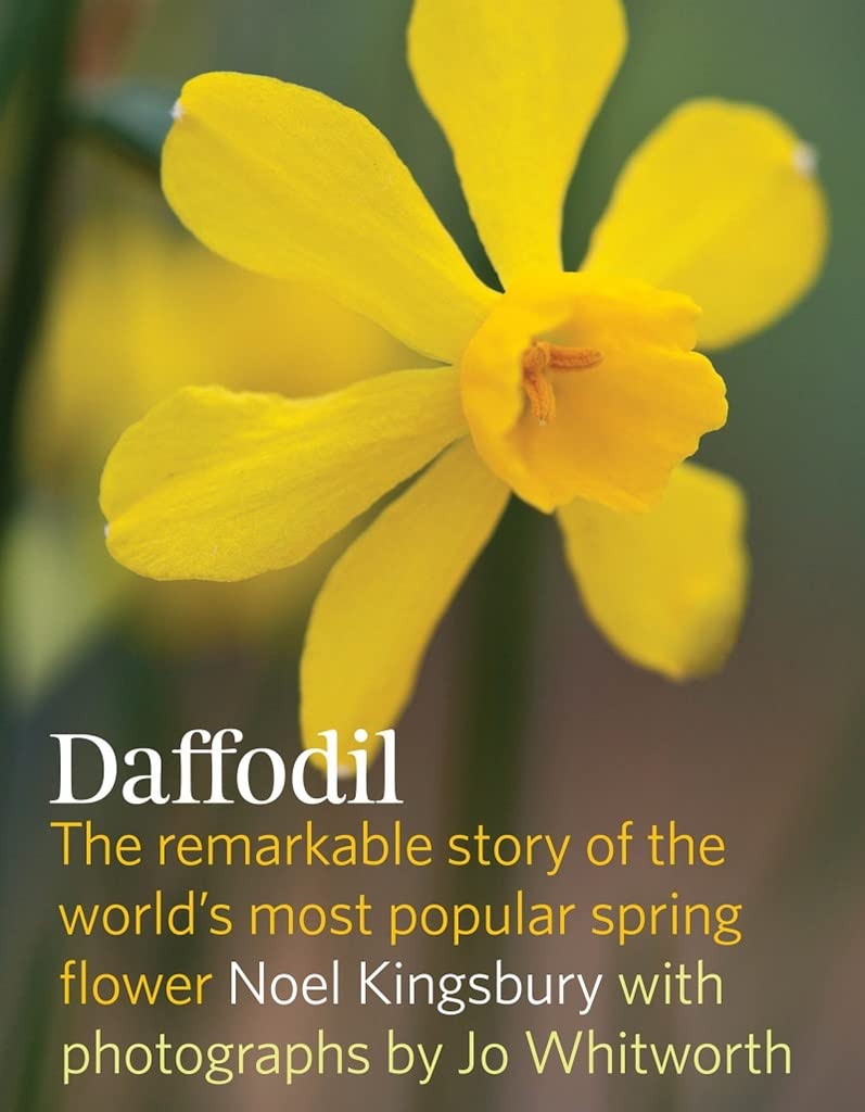 Daffodil: The Remarkable Story of the World's Most Popular Spring Flower Garden & Plants