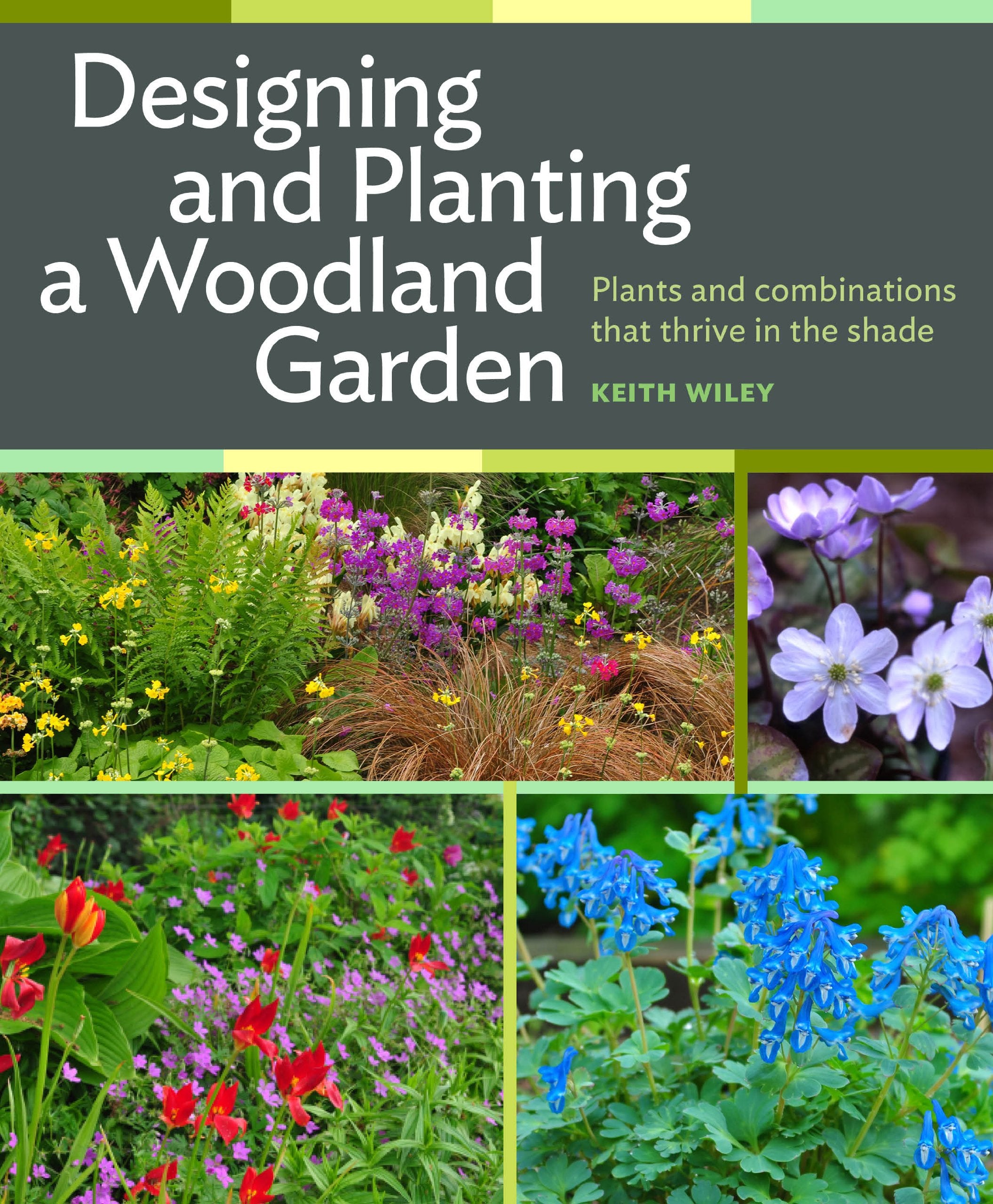 Designing and Planting a Woodland Garden: Plants and Combinations That Thrive in the Shade book