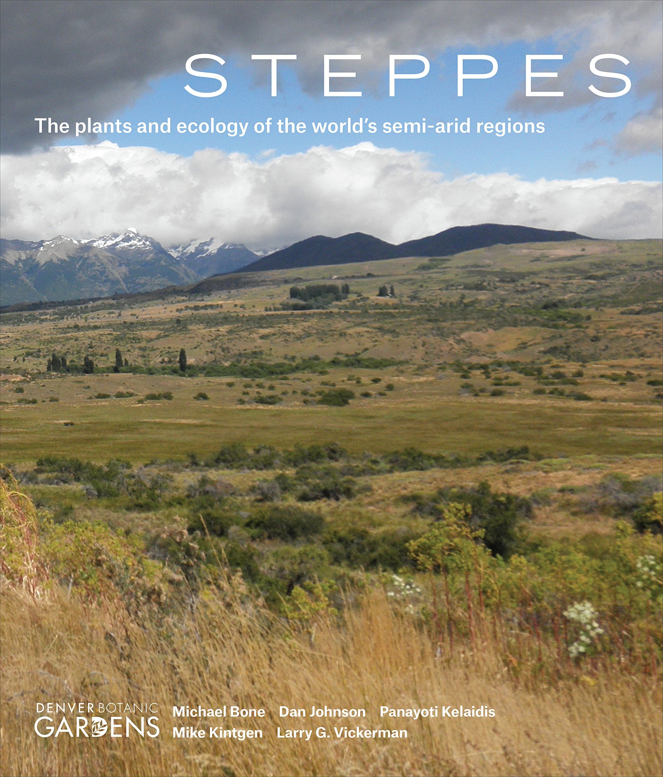 Steppes: The Plants and Ecology of the World's Semi-arid Regions Mathematics