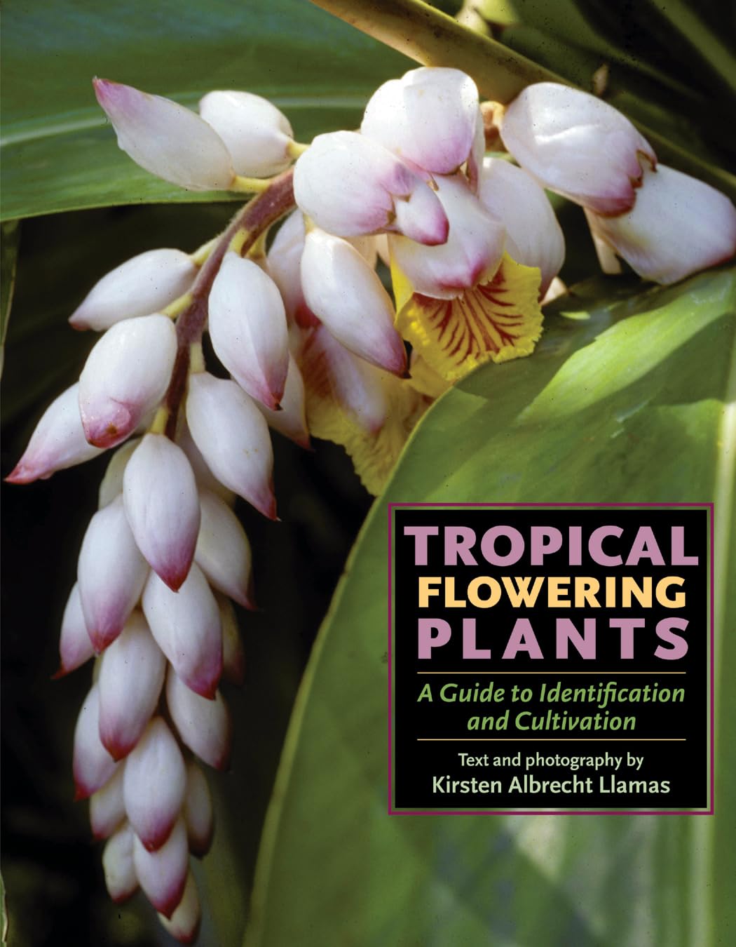 Tropical Flowering Plants: A Guide to Identification and Cultivation Garden & Plants