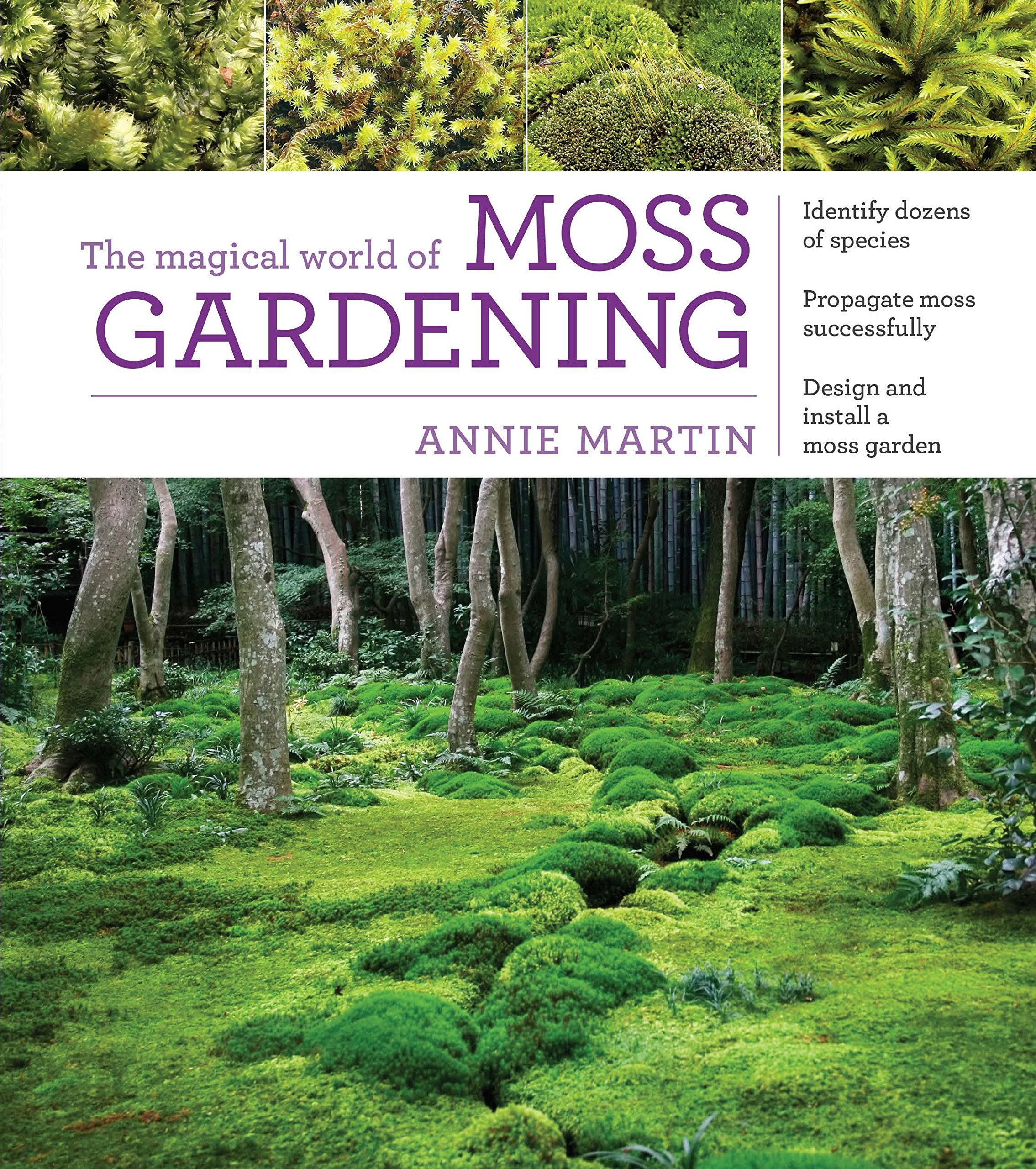 The Magical World of Moss Gardening Mathematics