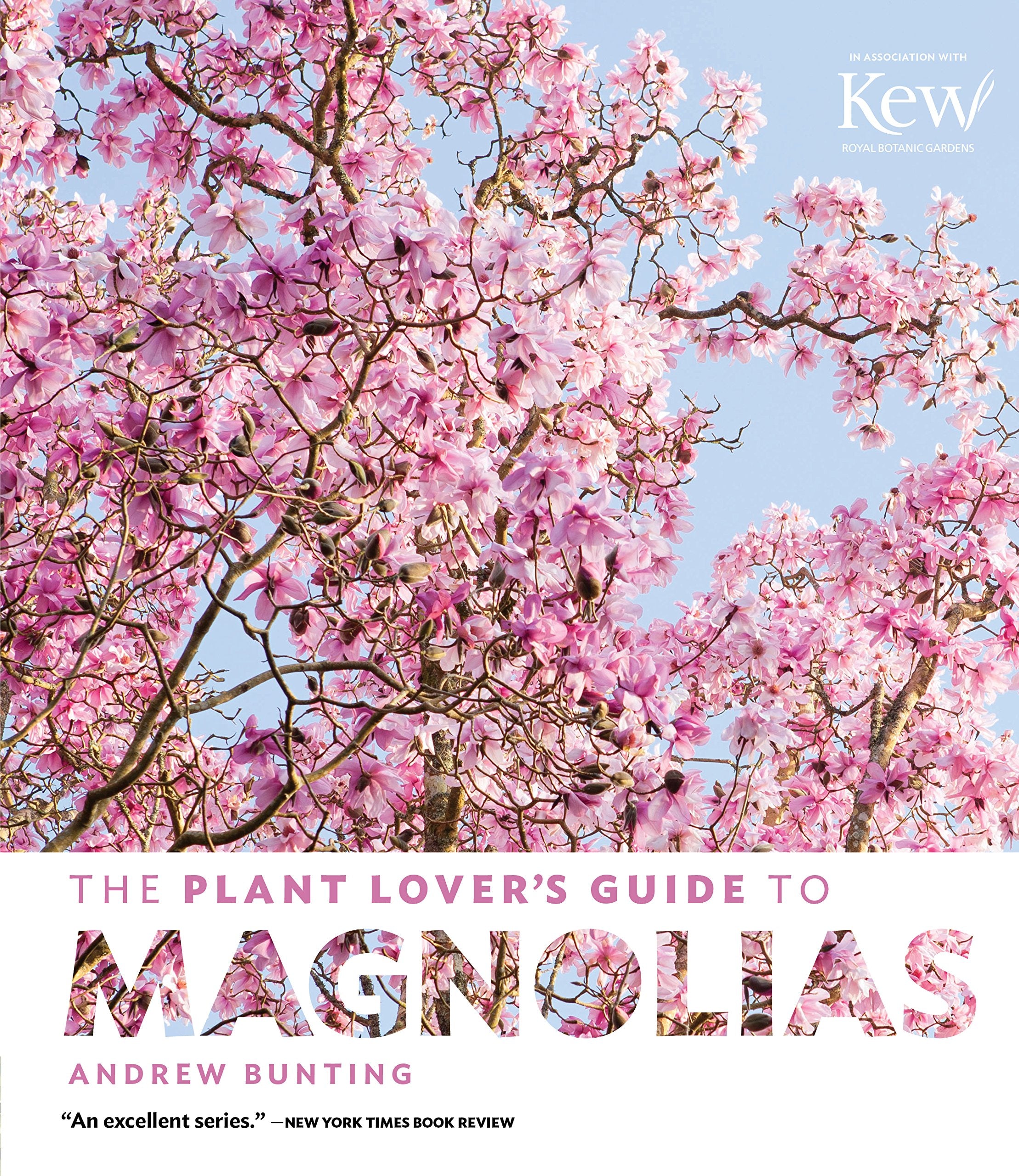 The Plant Lover's Guide to Magnolias Garden & Plants