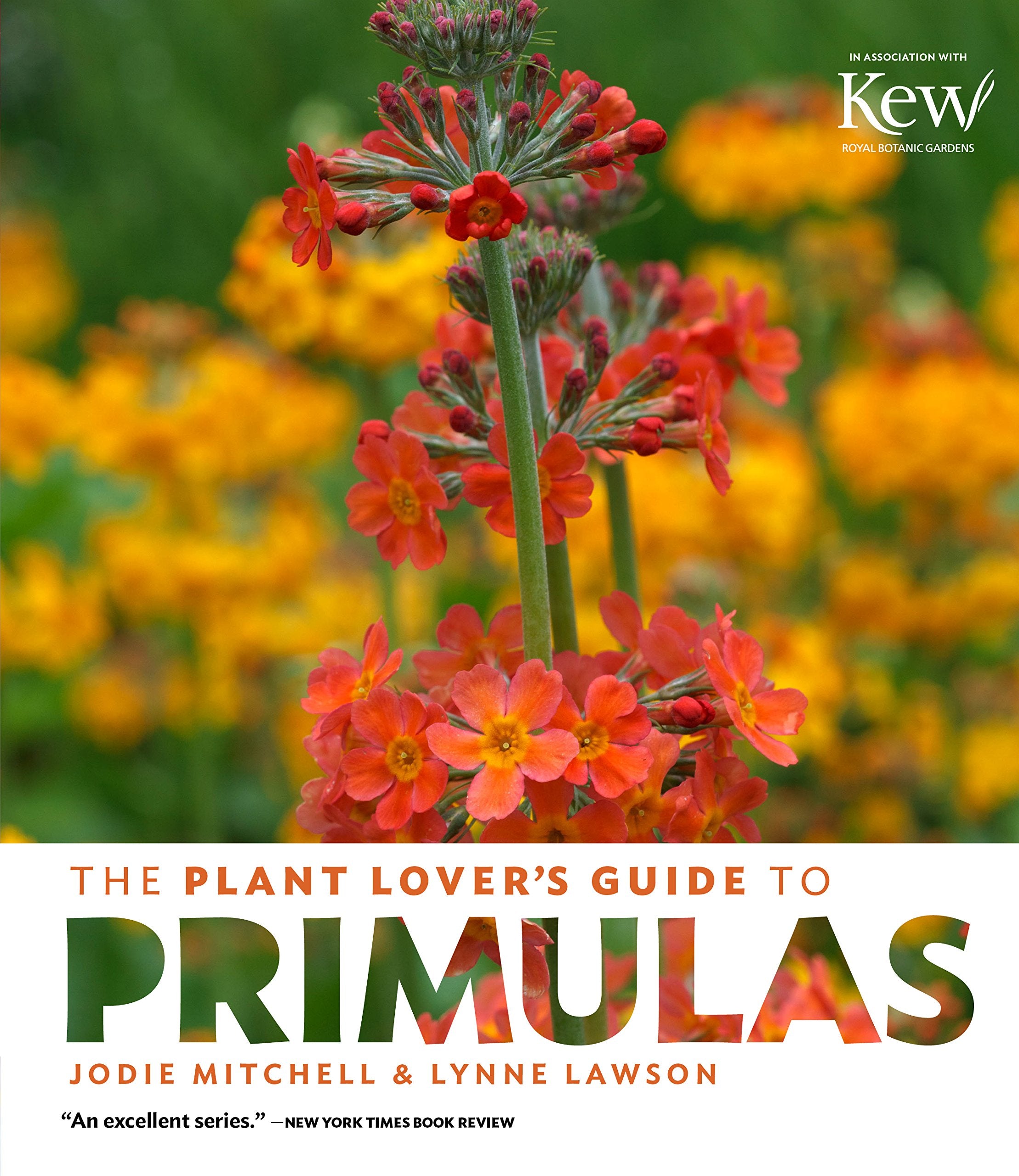 The Plant Lover's Guide to Primulas (The Plant Lover’s Guides) Garden & Plants
