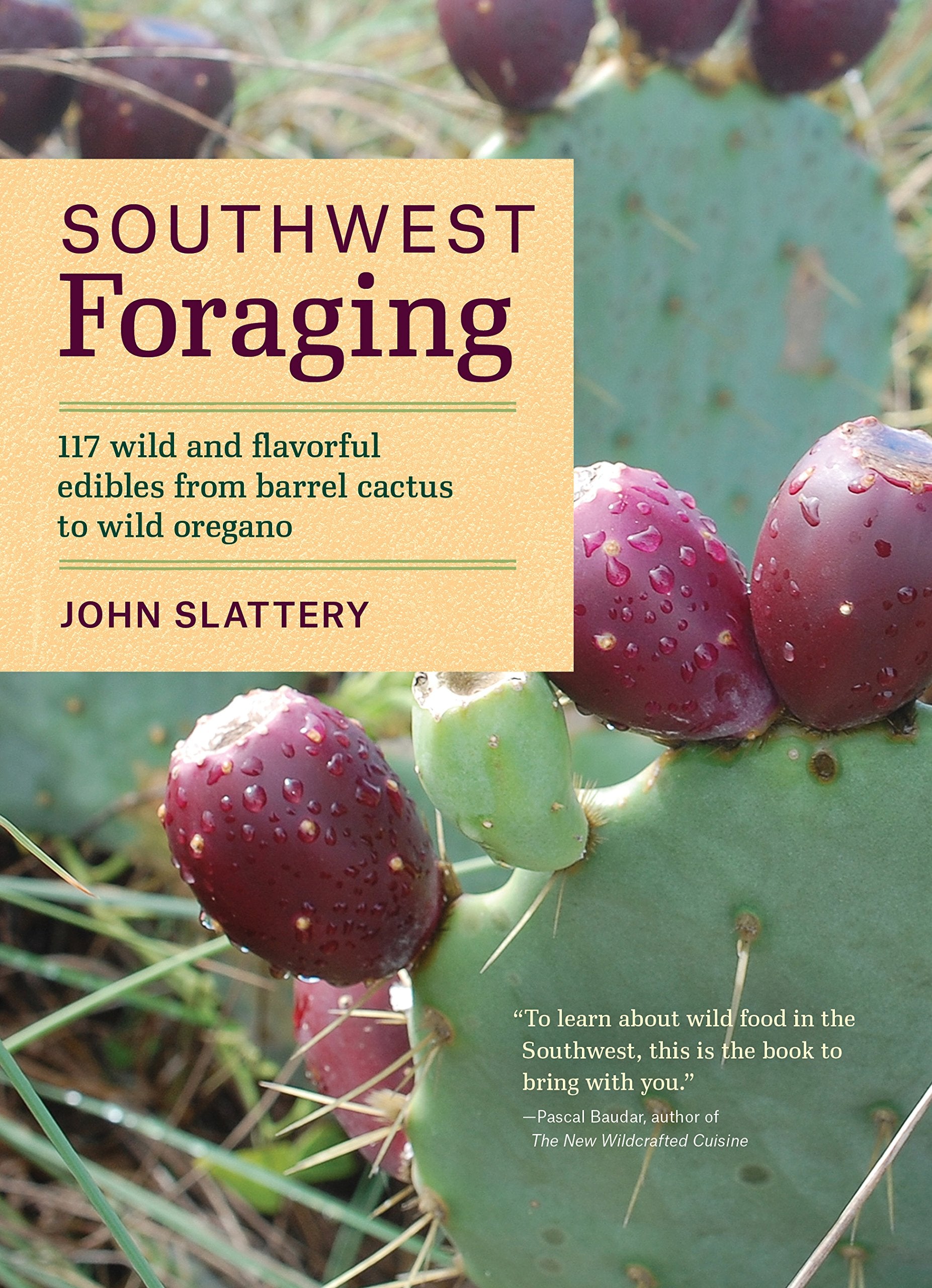 Southwest Foraging: 117 Wild and Flavorful Edibles from Barrel Cactus to Wild Oregano book