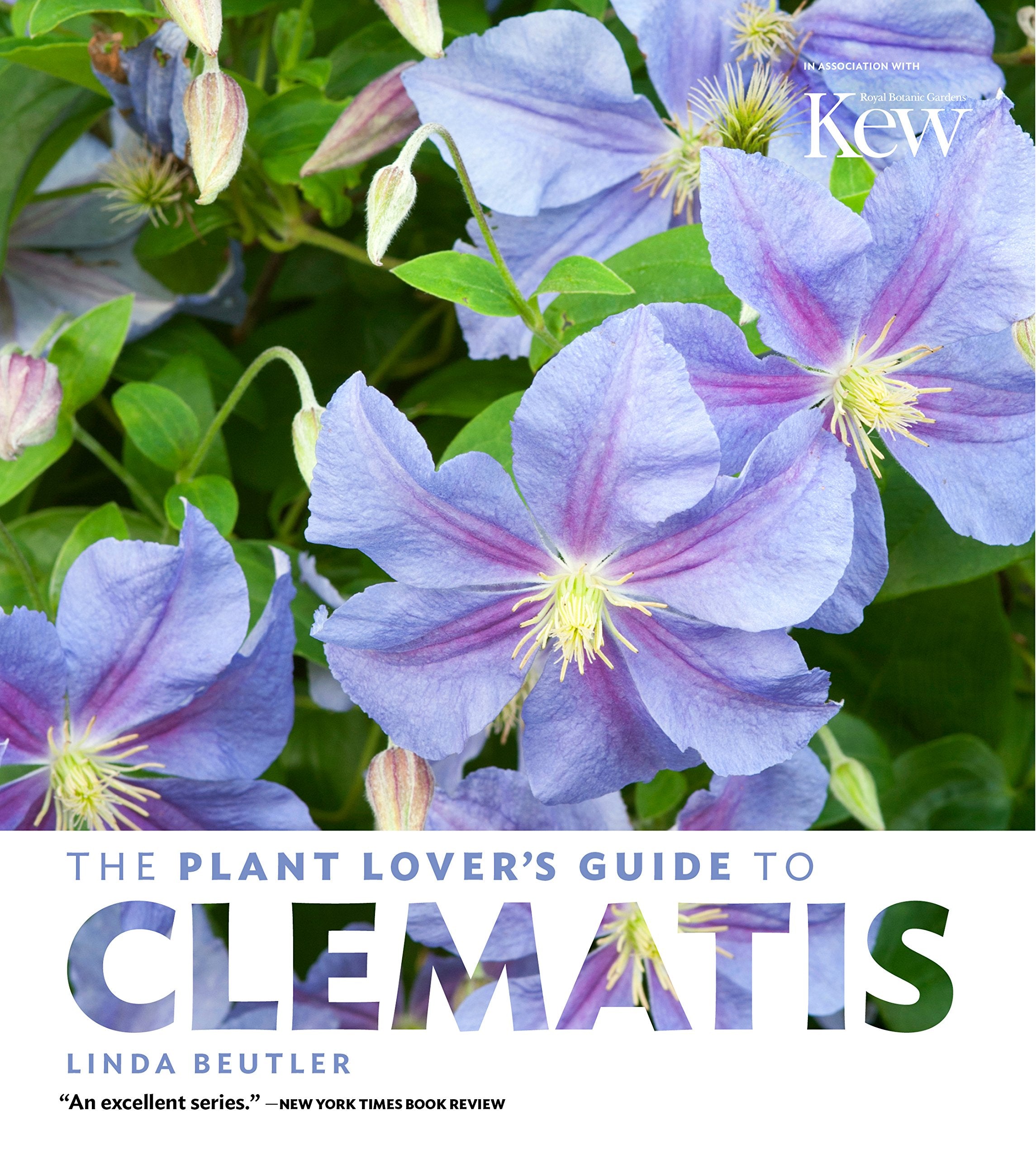 The Plant Lover's Guide to Clematis (The Plant Lover’s Guides) Garden & Plants