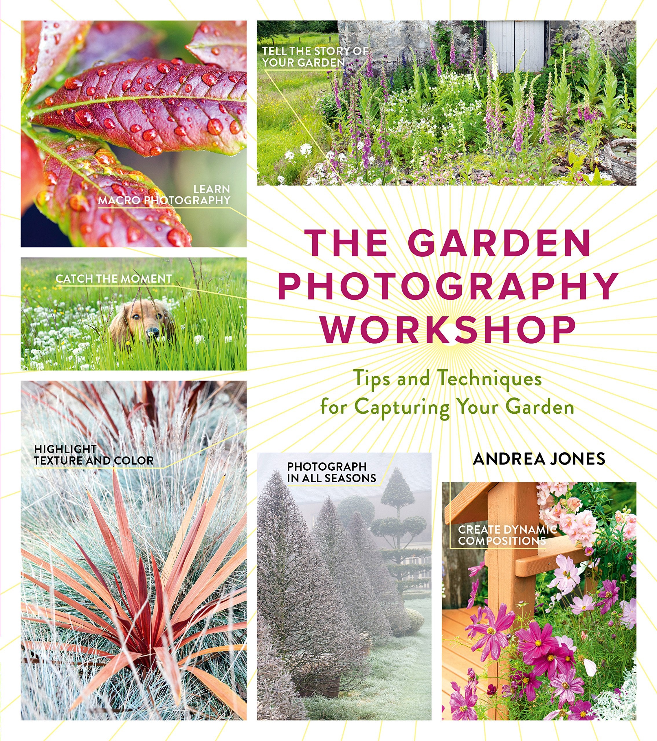 The Garden Photography Workshop: Expert Tips and Techniques for Capturing the Essence of Your Garden Social Sciences
