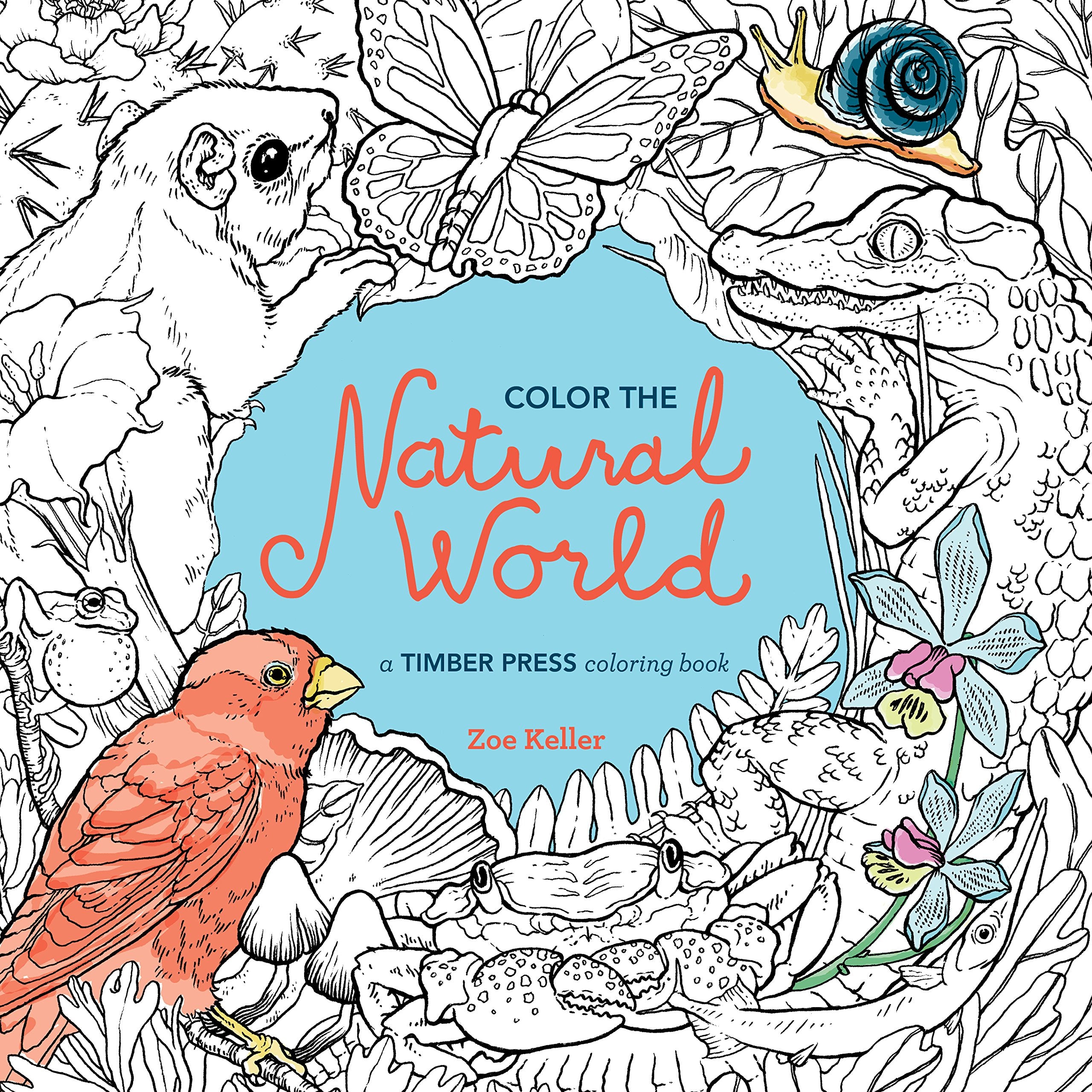 Color the Natural World: A Timber Press Coloring Book Mathematics