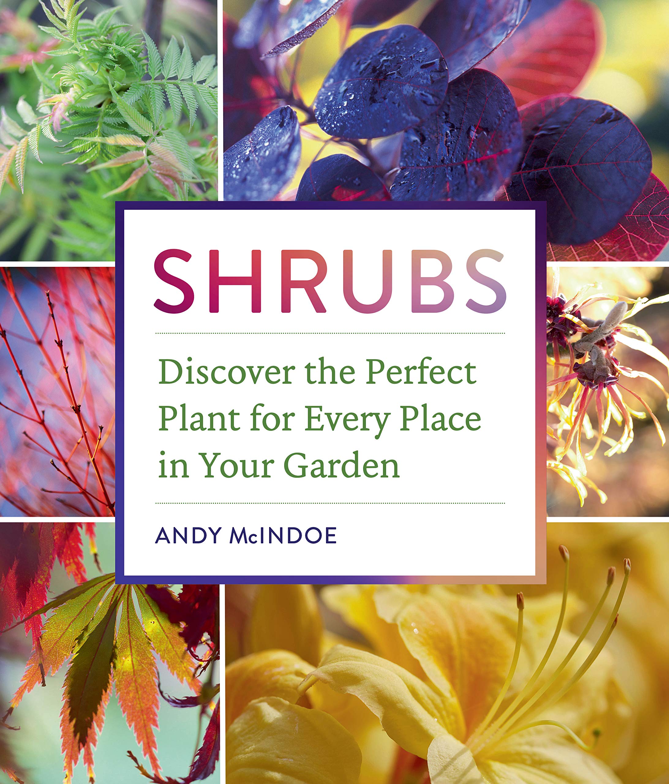 Shrubs: Discover the Perfect Plant for Every Place in Your Garden book