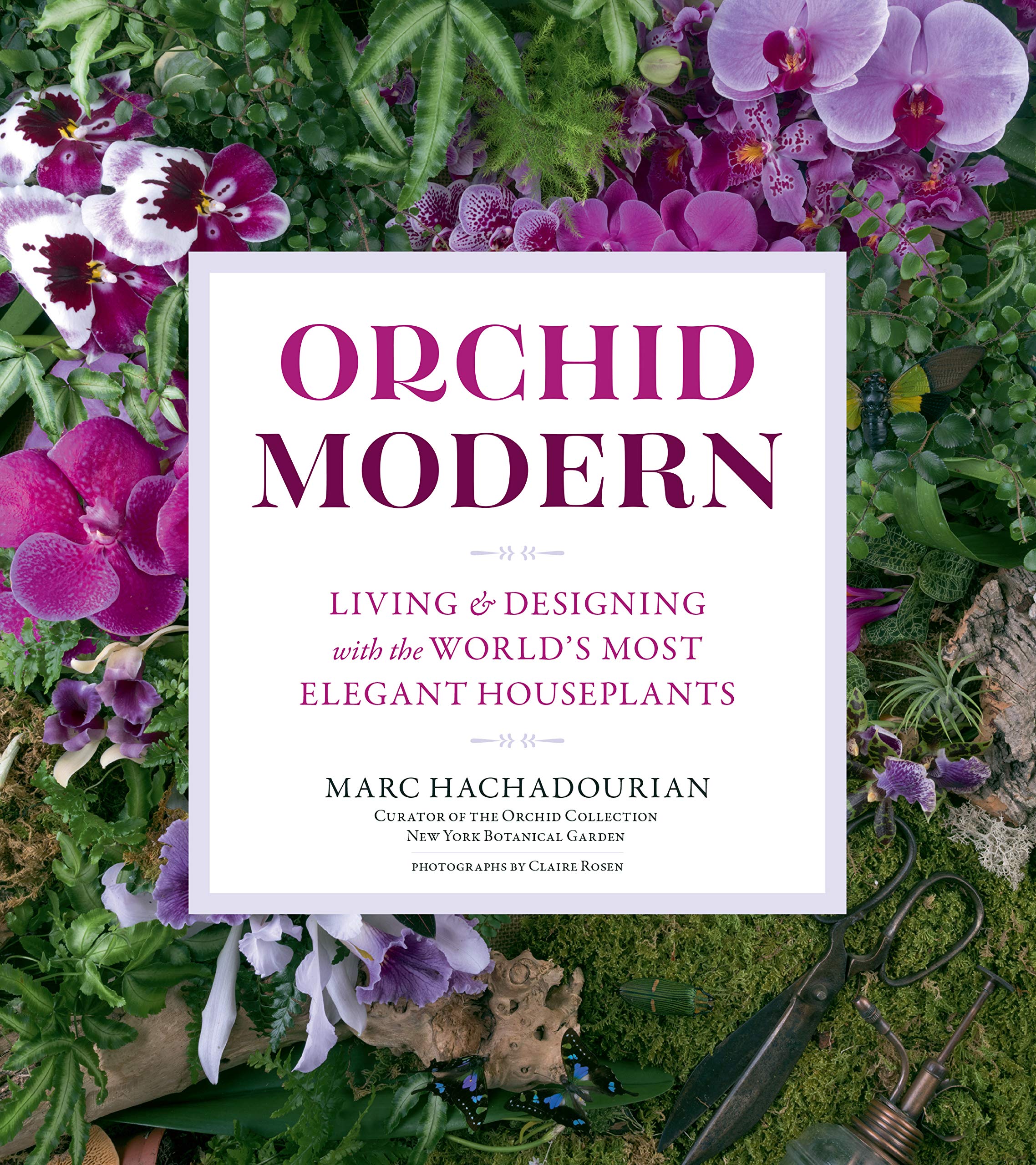 Orchid Modern: Living and Designing with the World’s Most Elegant Houseplants book