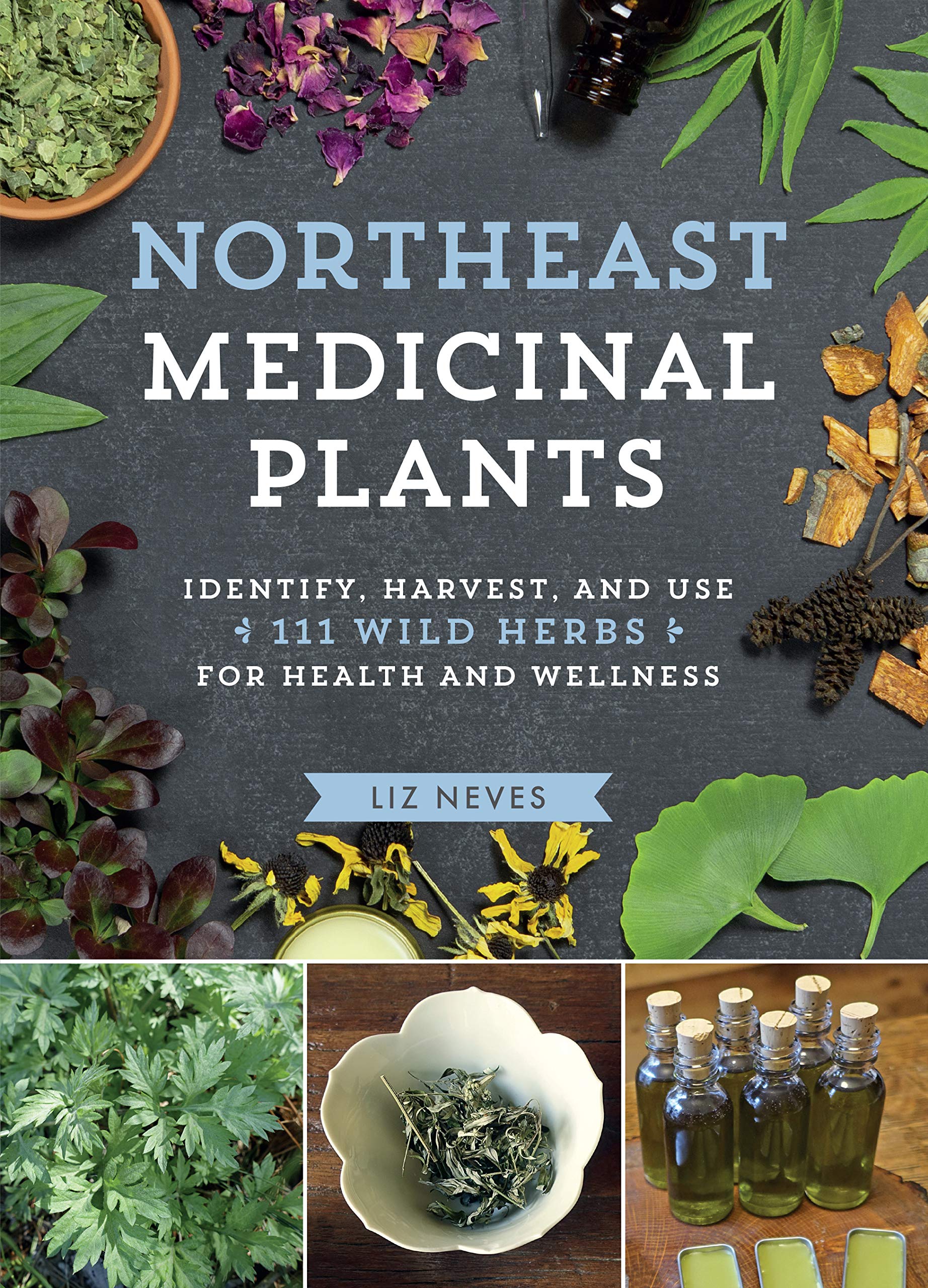 Northeast Medicinal Plants: Identify, Harvest, and Use 111 Wild Herbs for Health and Wellness (Medicinal Plants Series) Garden & Plants
