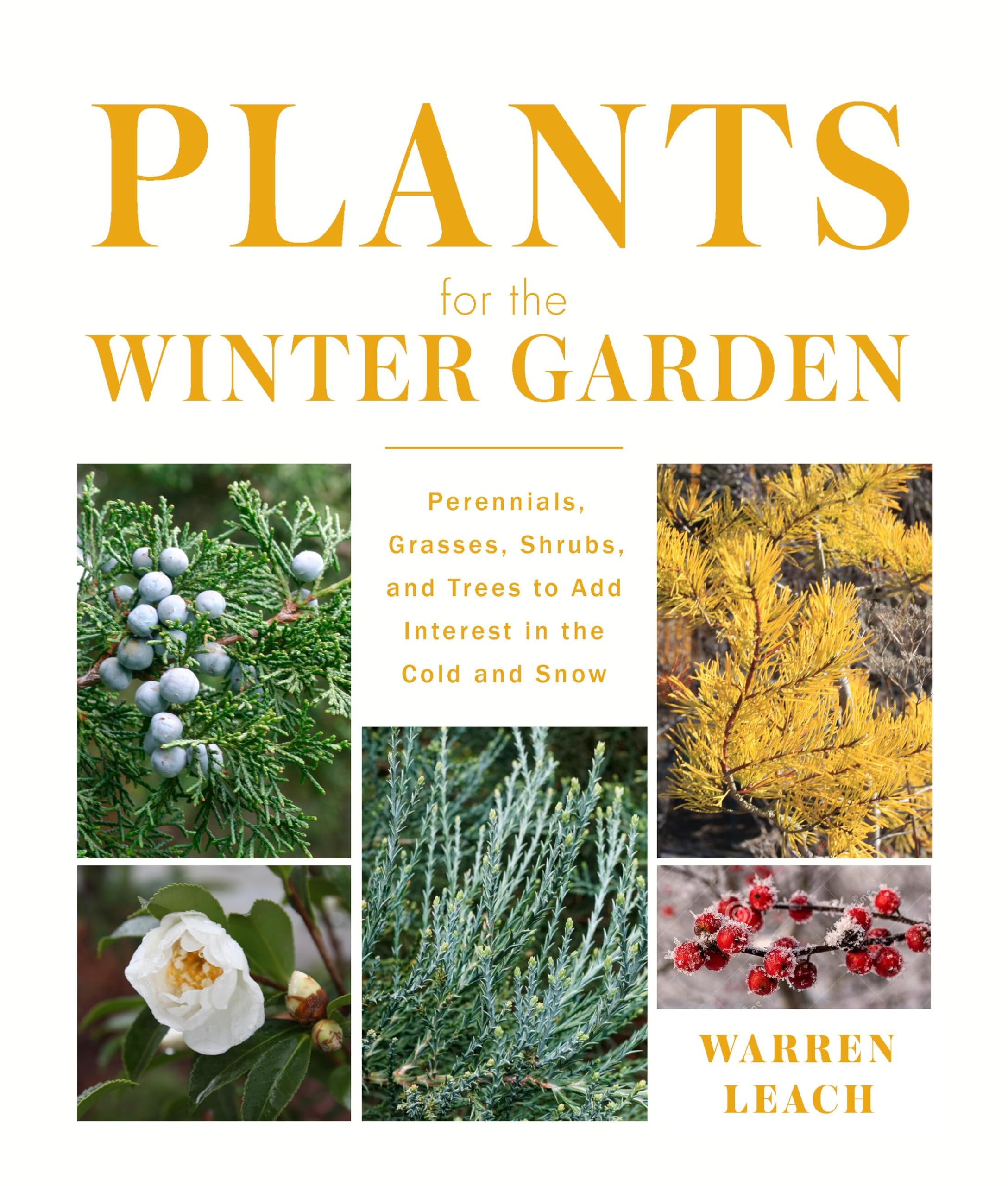 Plants for the Winter Garden: Perennials, Grasses, Shrubs, and Trees to Add Interest in the Cold and Snow Garden & Plants