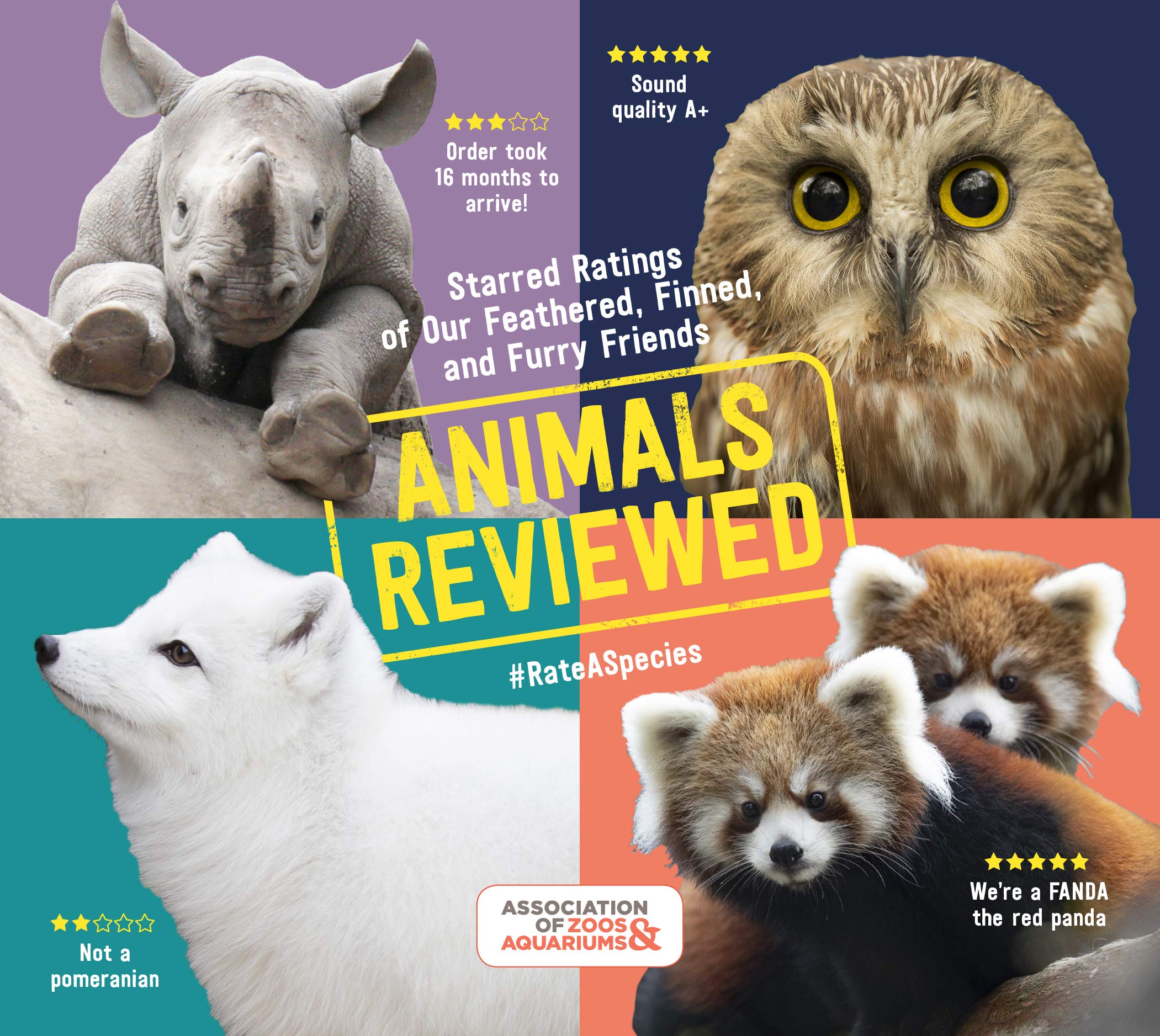 Animals Reviewed: Starred Ratings of Our Feathered, Finned, and Furry Friends Humour & Satire
